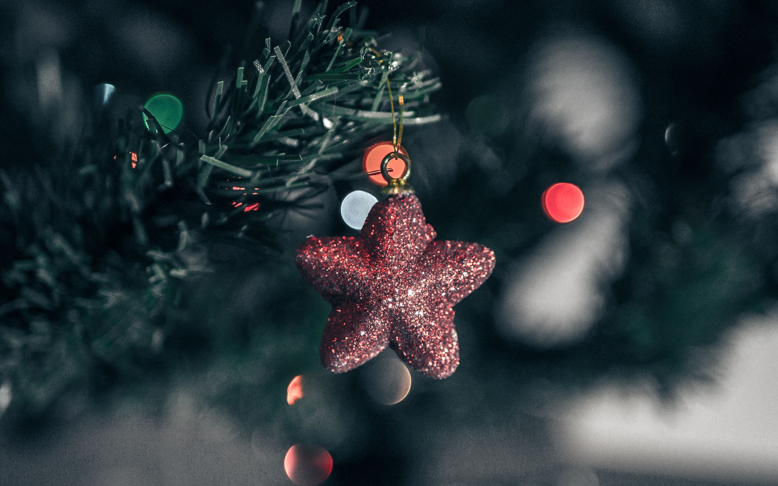 Download wallpaper 2560x1600 star, christmas tree, shine widescreen 16:10 HD background