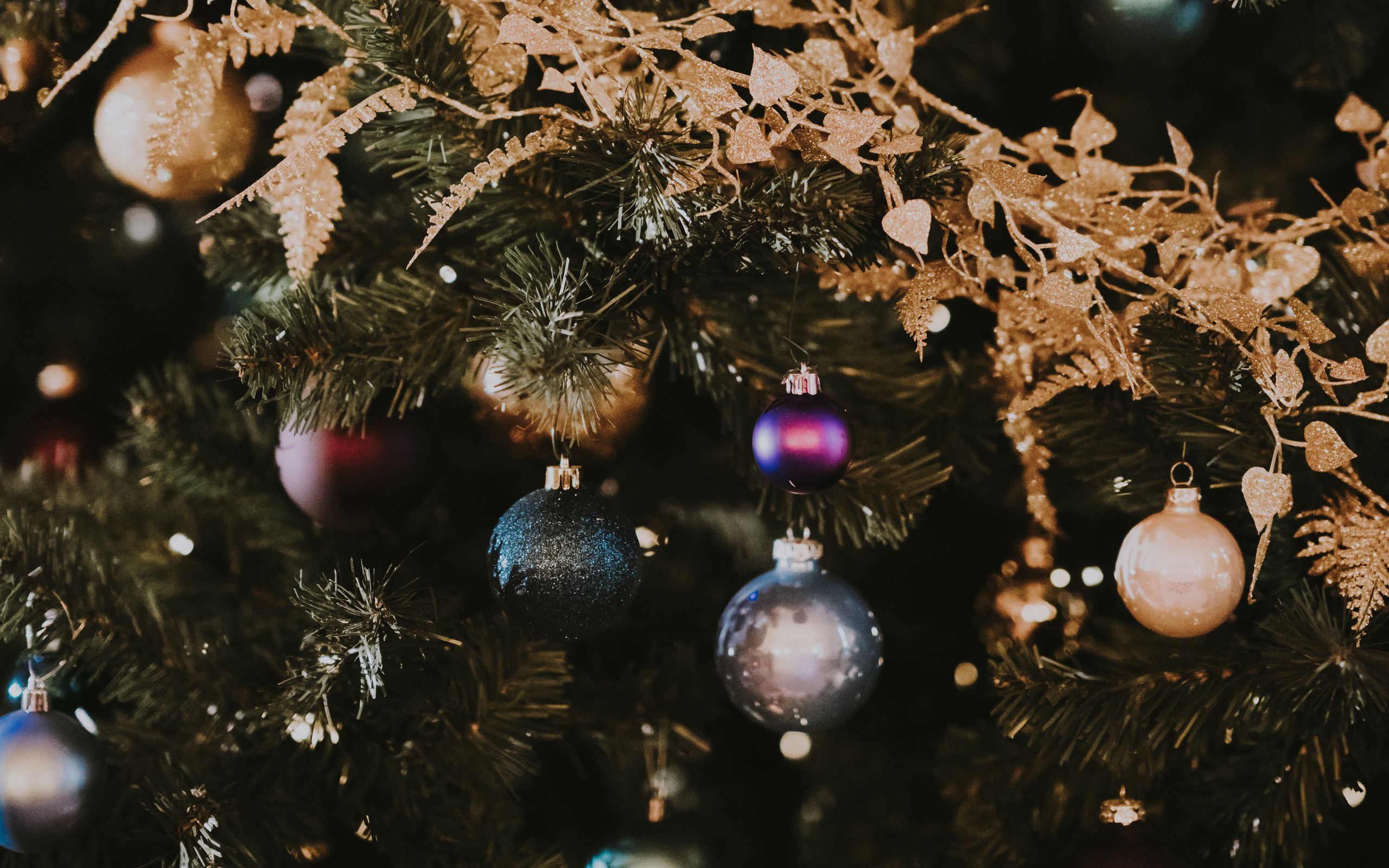 Download wallpaper 2560x1600 christmas toys, new year, christmas, christmas tree, decoration, christmas mood widescreen 16:10 HD background