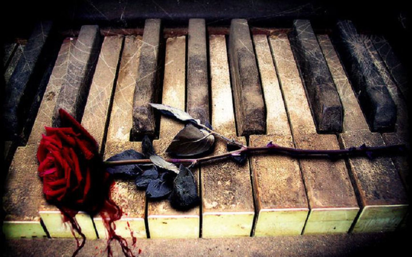 Piano Keys Wallpaper iPhone Wickedsa piano Keys Desktop Piano With Roses HD Wallpaper