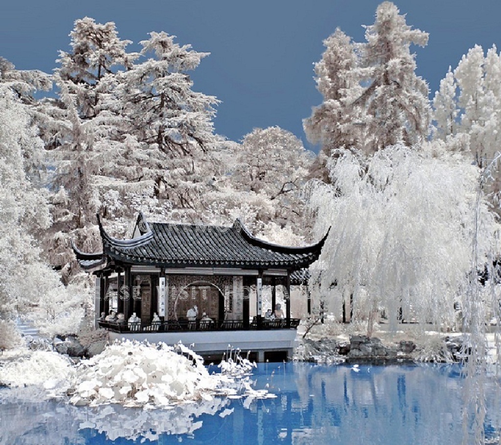 chinese garden with pagoda nature winter