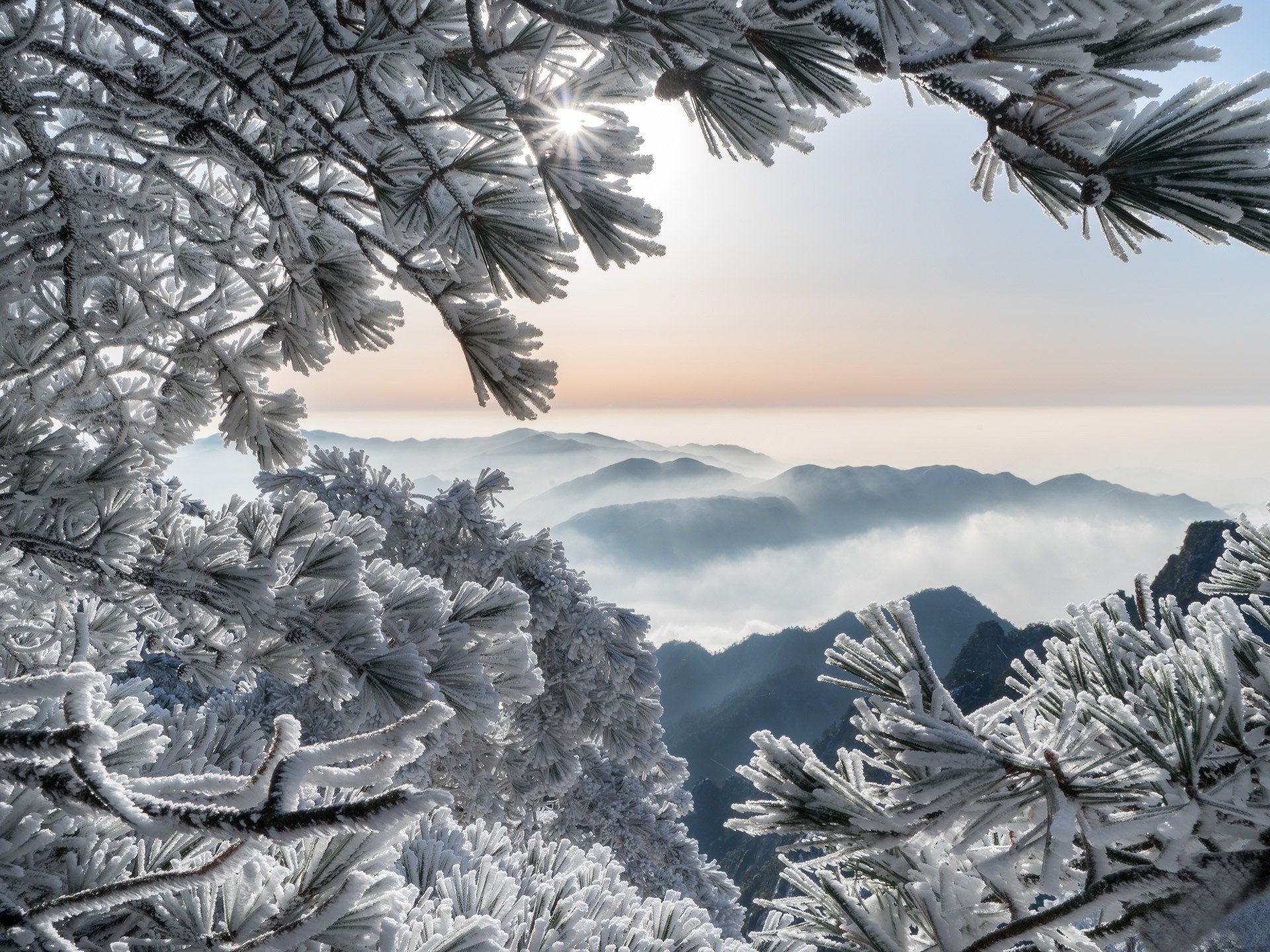 Wallpaper China, Huangshan Mountains, pine, frost, snow, winter 1920x1440 HD Picture, Image