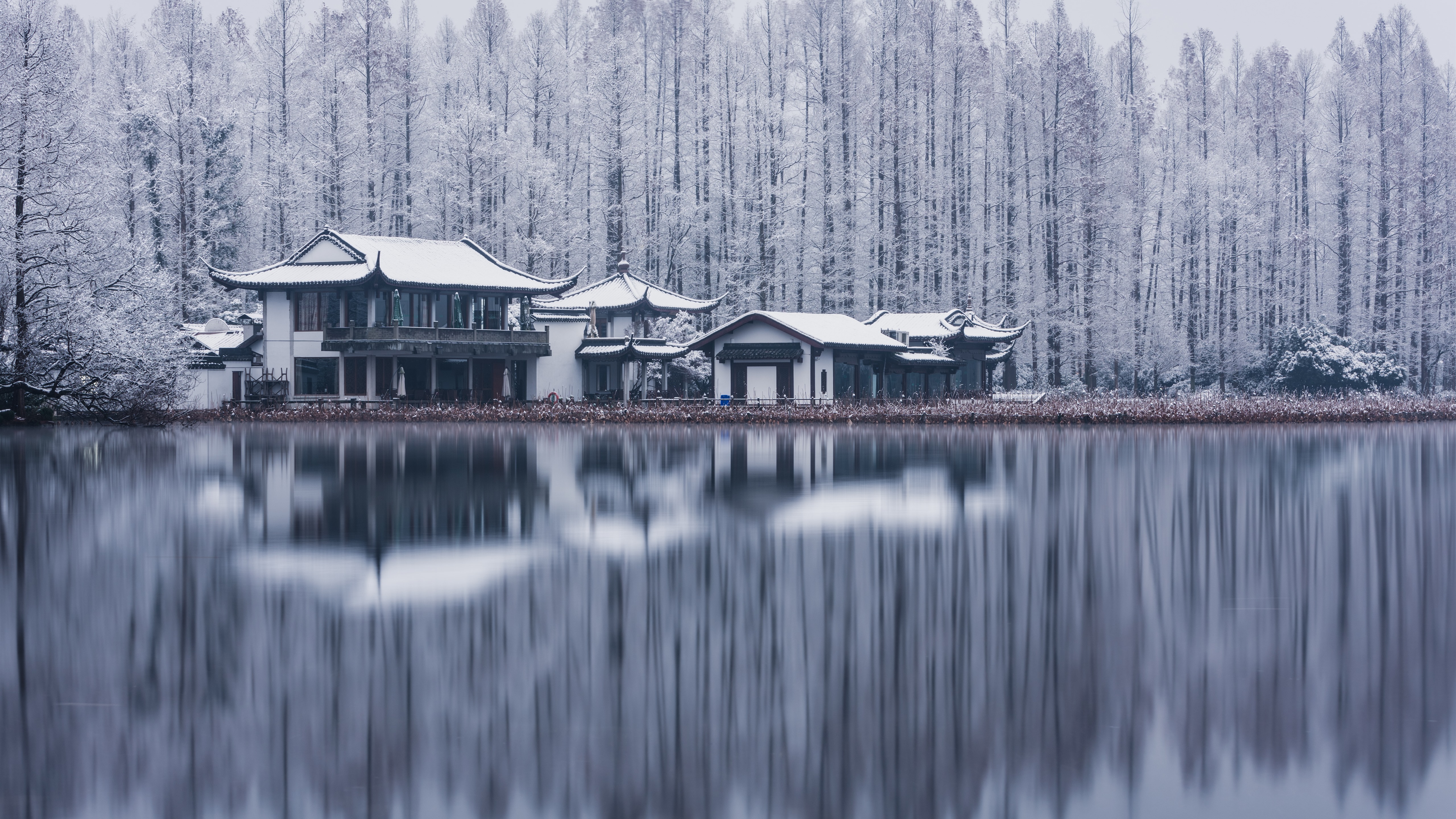Wallpaper West Lake, Hangzhou, trees, buildings, snow, winter, China 5120x2880 UHD 5K Picture, Image