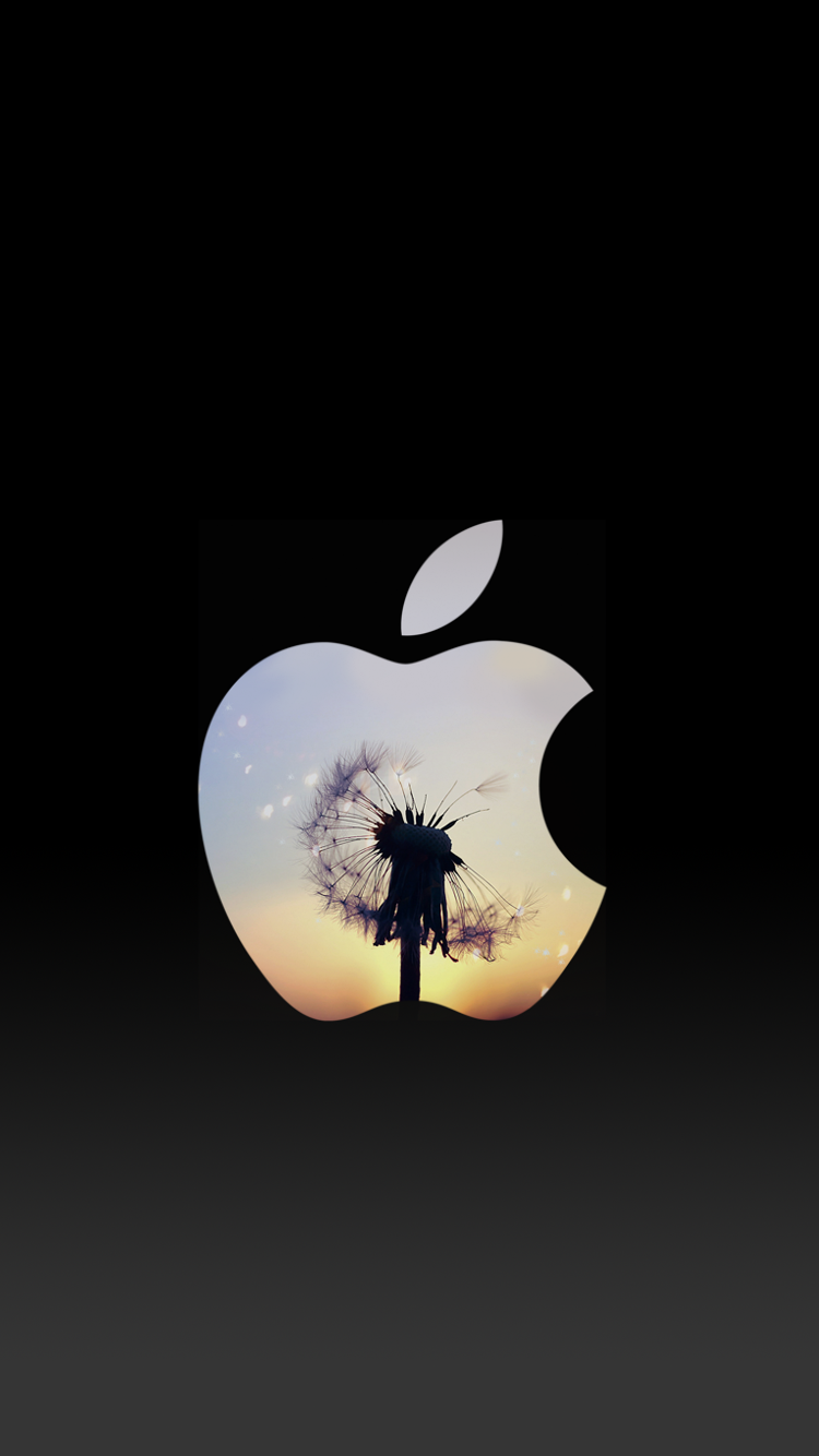 Dandelion sunset apple logo iphone 6 lock screen wallpaper ♥. iPhone 6 wallpaper background, Apple logo wallpaper, Lock screen wallpaper iphone