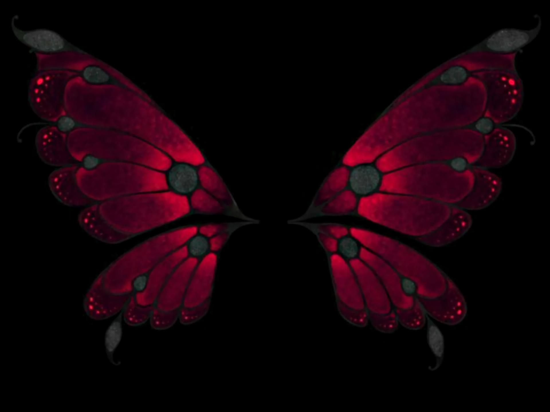 Butterfly Wings HD Wallpaper