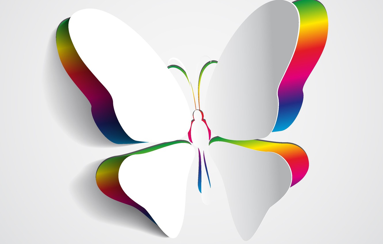 Wallpaper color, background, butterfly, wings image for desktop, section рендеринг