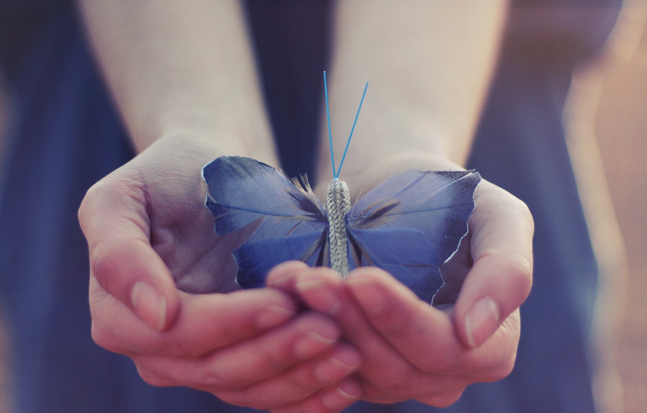 Wallpaper butterfly, wings, hands image for desktop, section ситуации