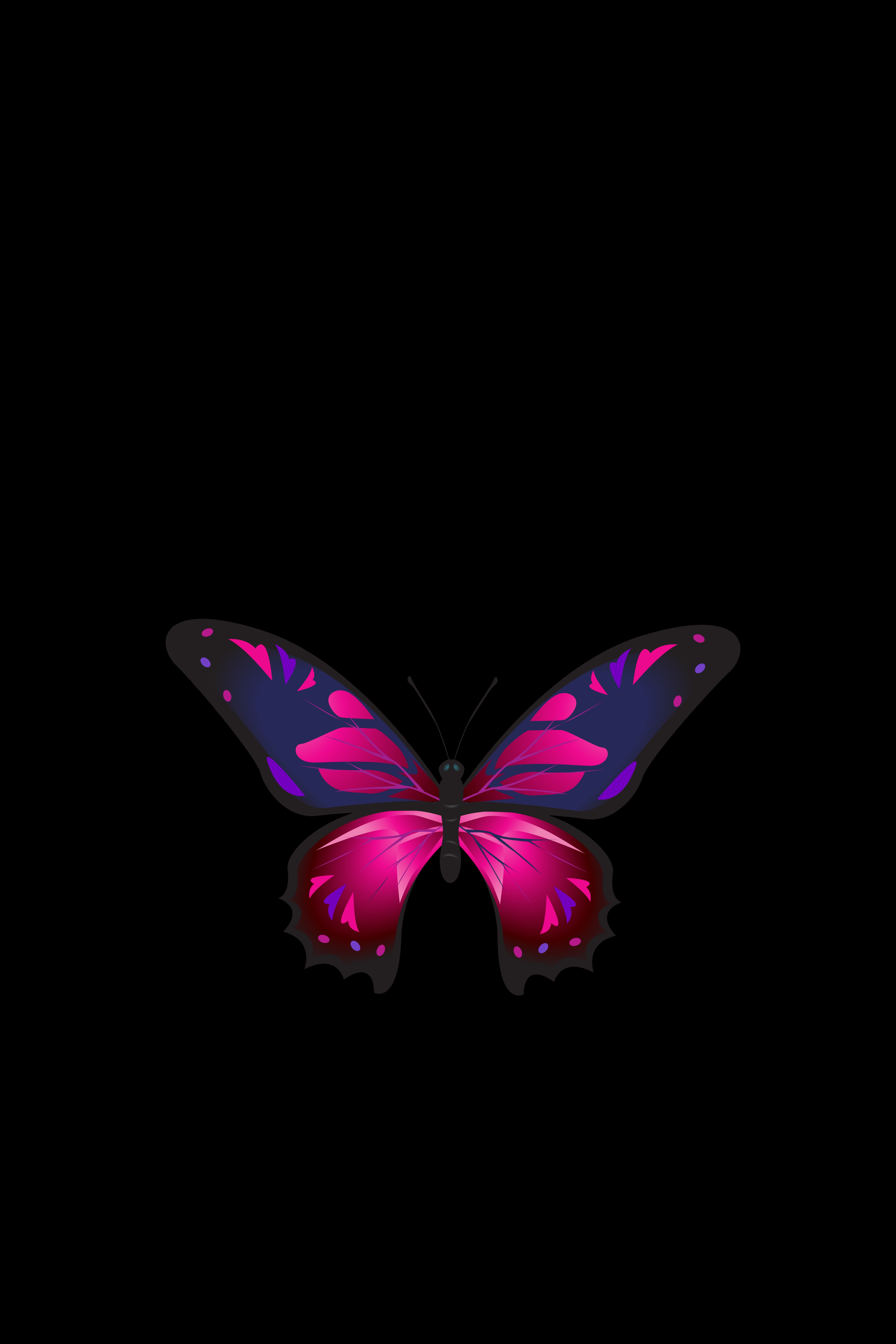 Mobile wallpaper: Patterns, Dark, Dark Background, Butterfly, Wings, 131801 download the picture for free