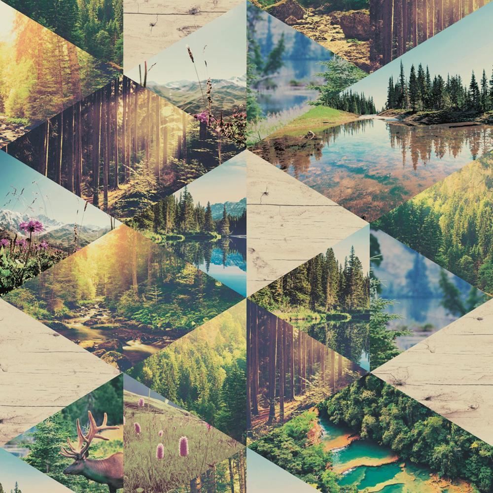 Nature Collage Wallpaper Free Nature Collage Background