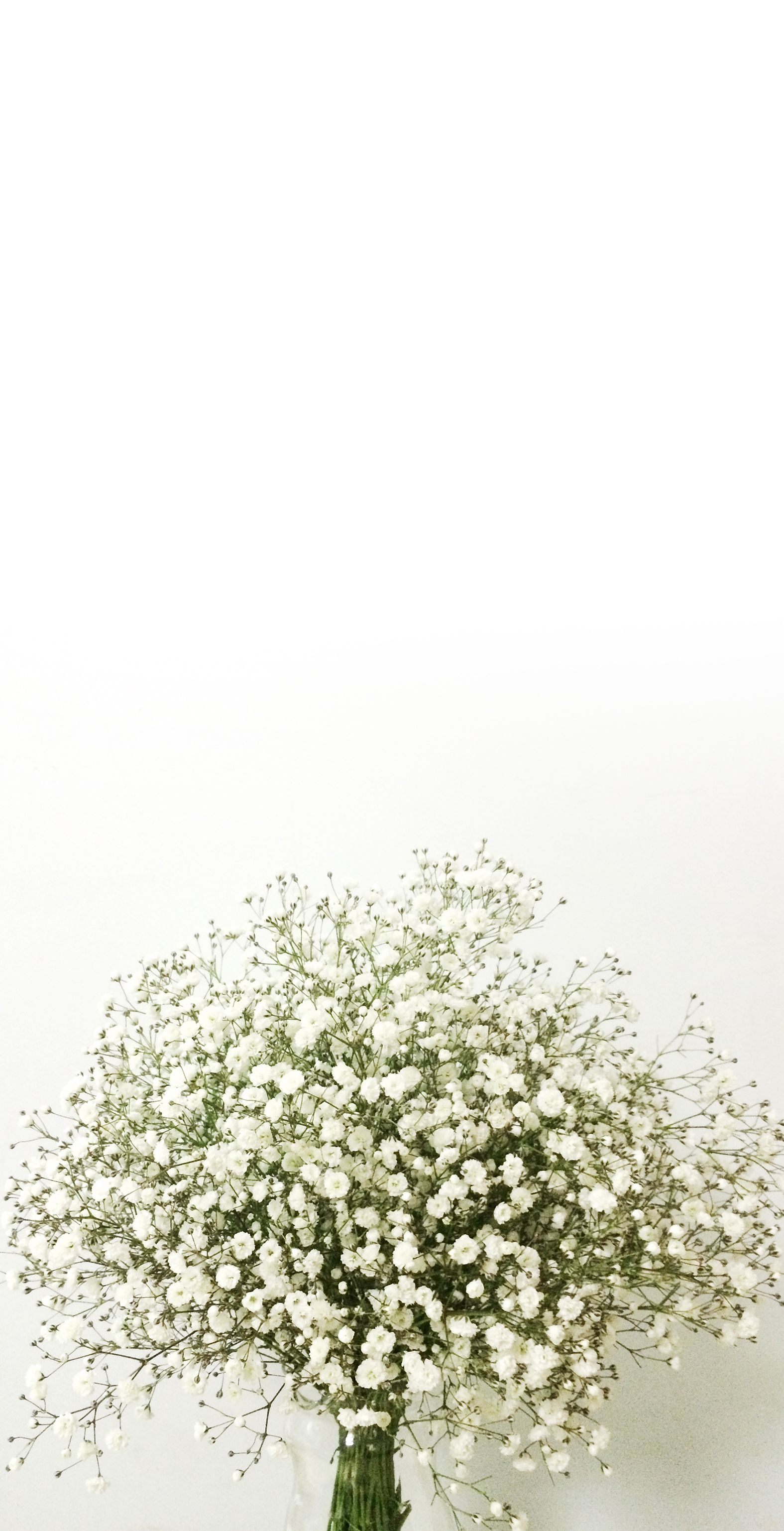 baby's breath, love U. Floral wallpaper iphone, Flower iphone wallpaper, Floral wallpaper
