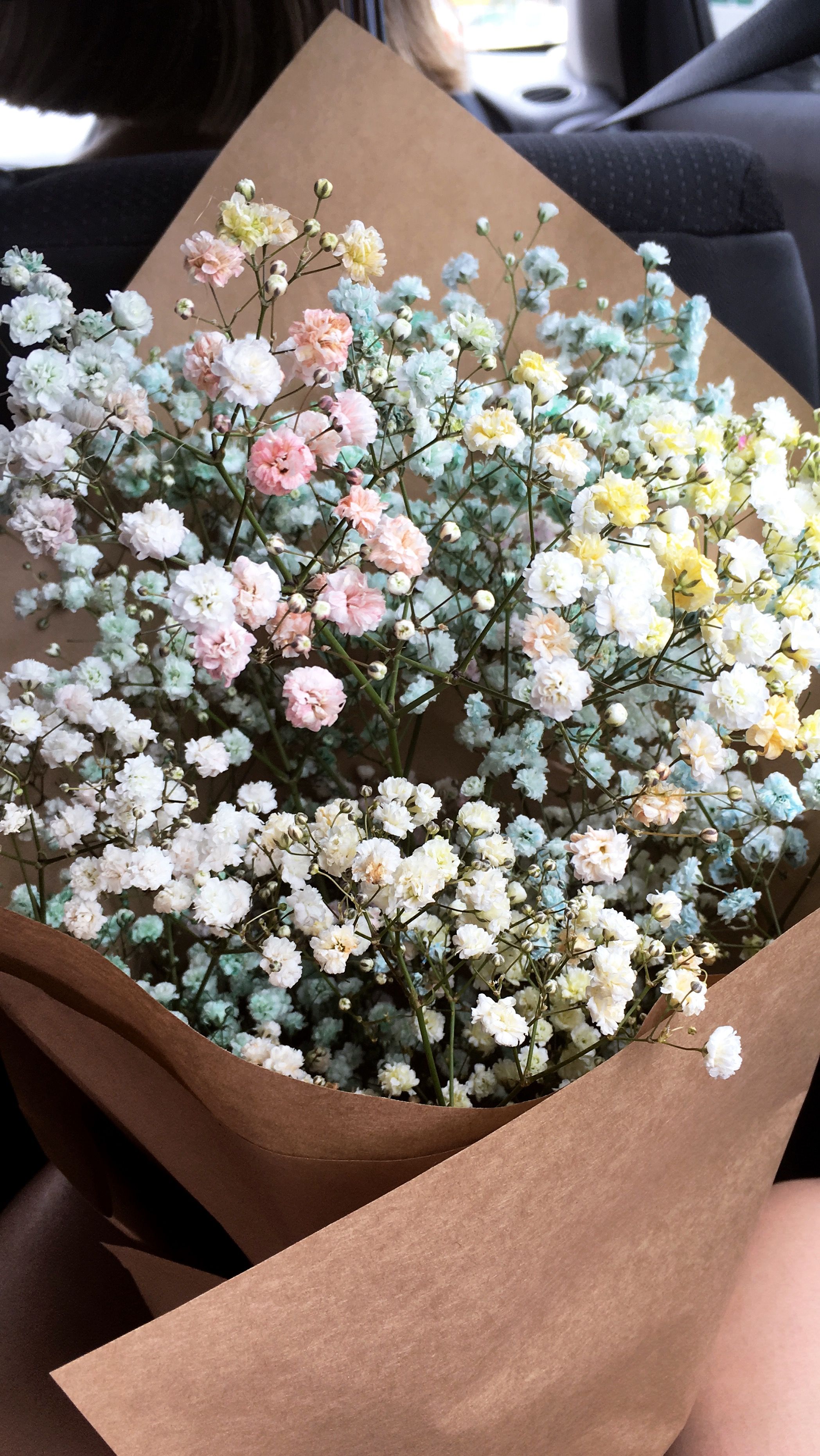 Baby Breath Flower Wallpaper