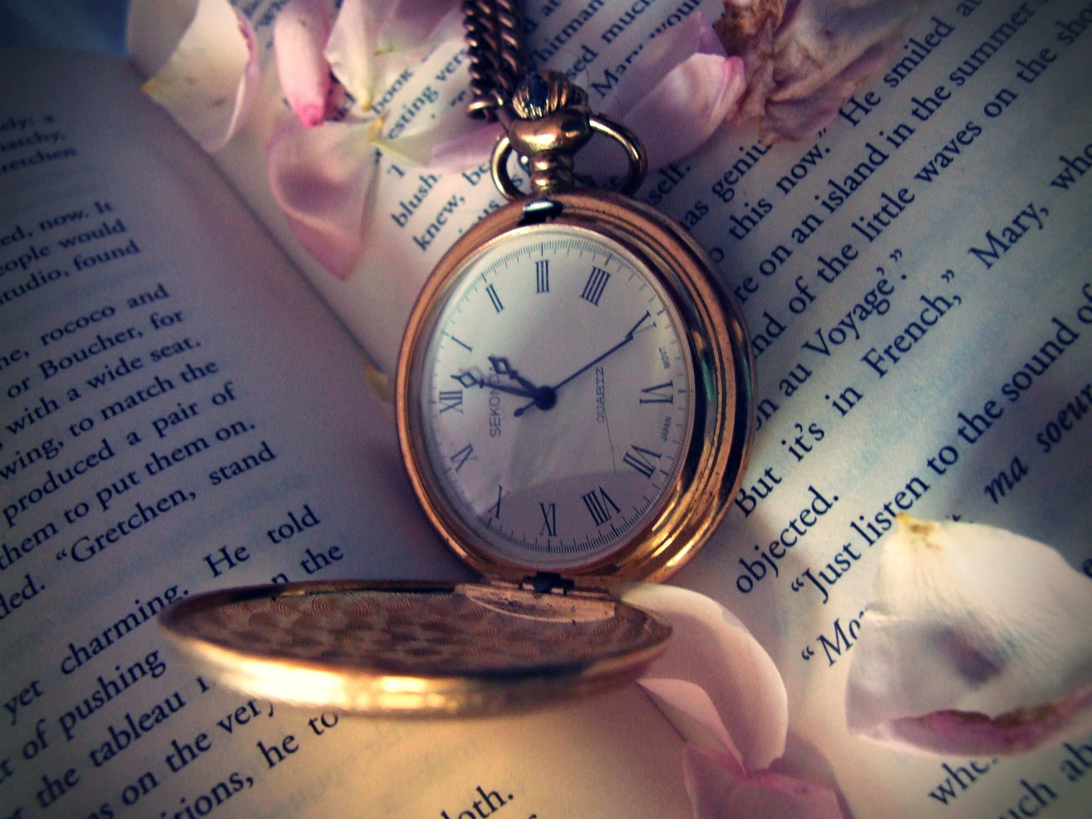 Книга и часы
