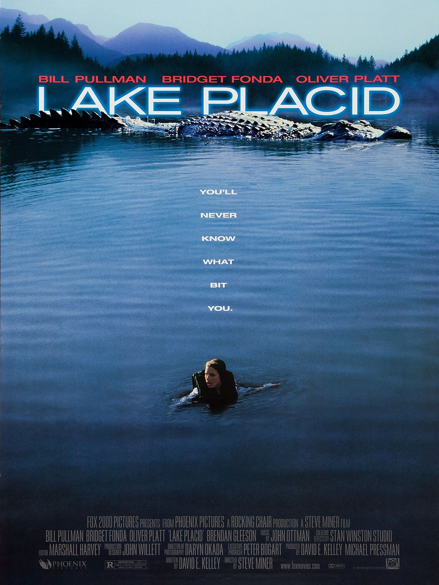 Lake Placid Live Camera 45 - oqaiktu