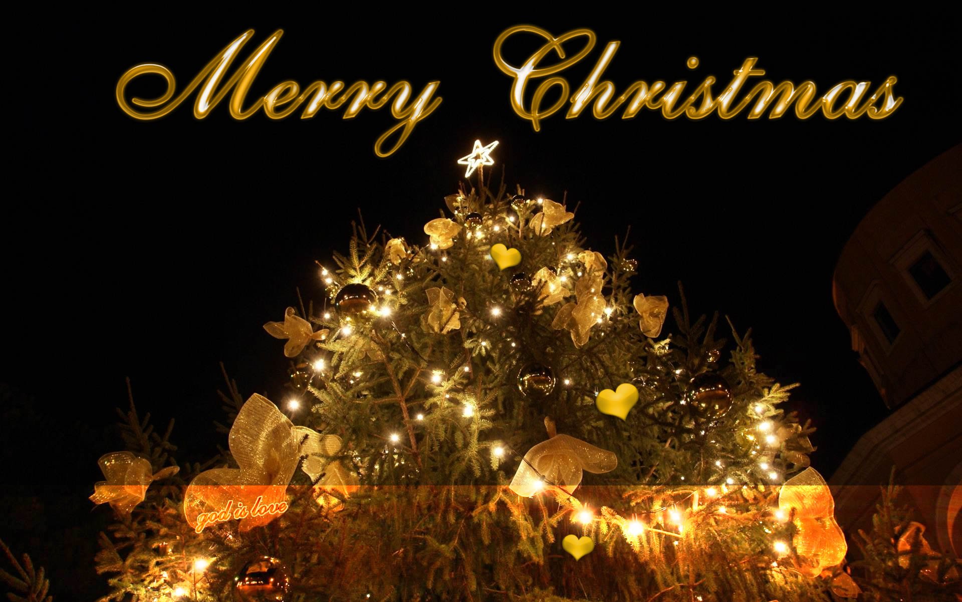 Download Best merry christmas wallpaper christmas tree Wallpaper & Image Free