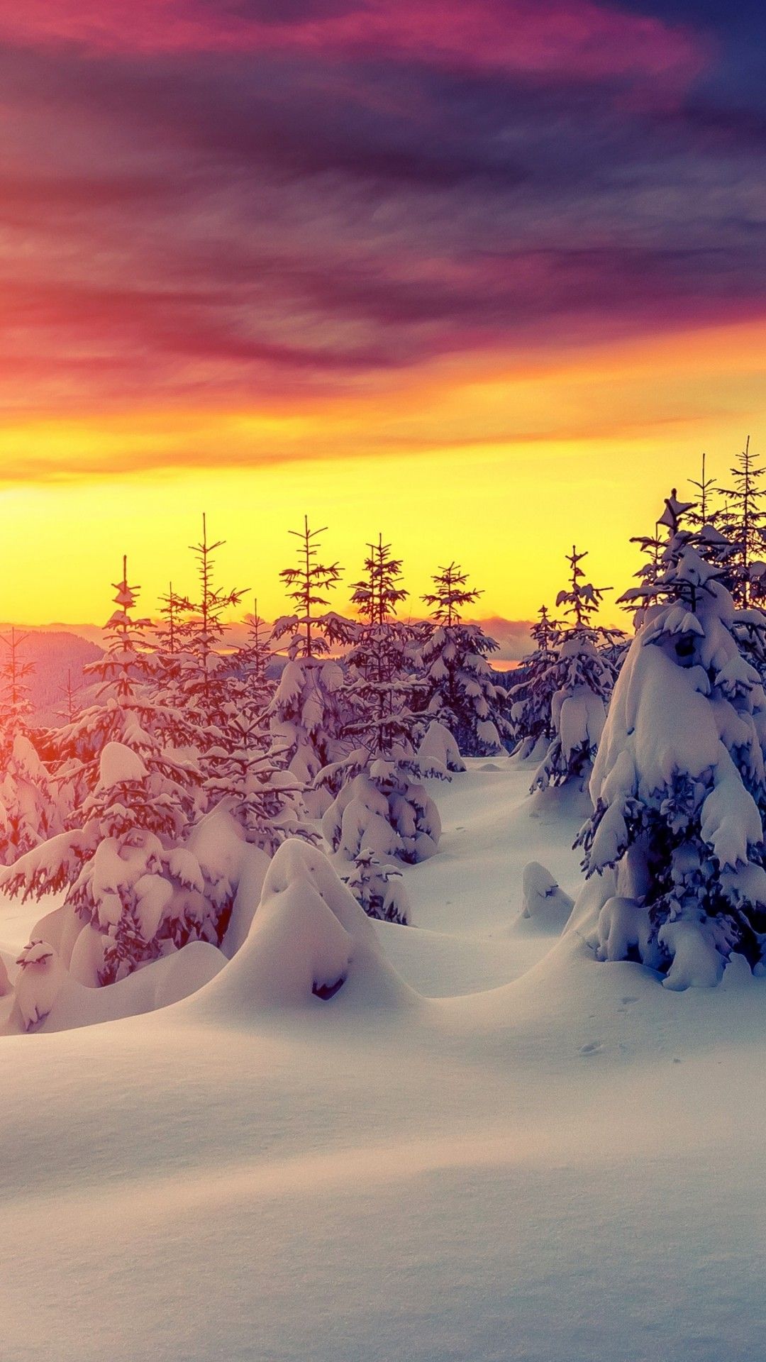 Winter Sunset With Snow 4k Ultra HD Wallpaper