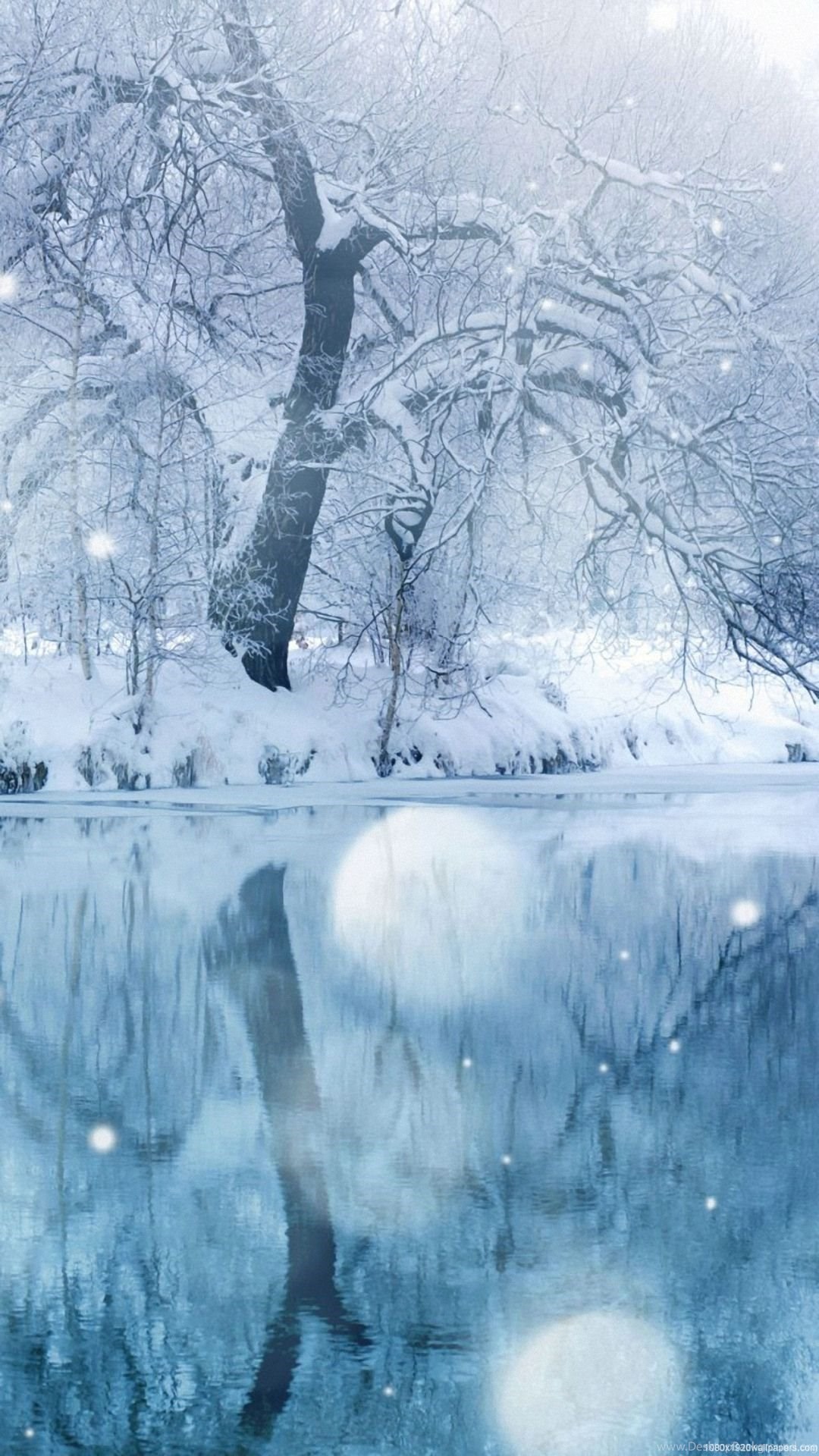 Sunshine Tree Winter Water Lake Snow Wallpaper HD Desktop Background