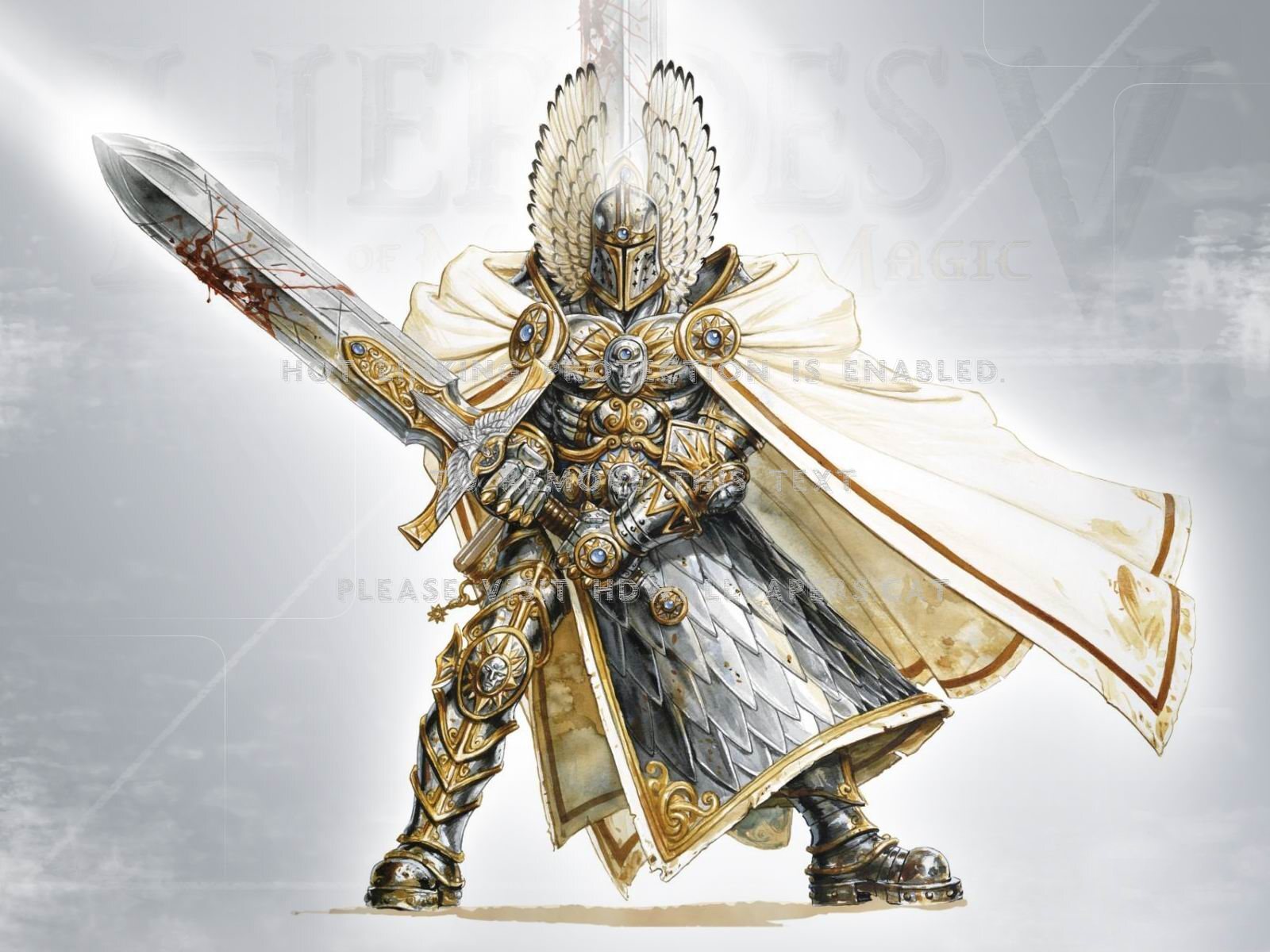 light warrior holy heavy armor sword anime