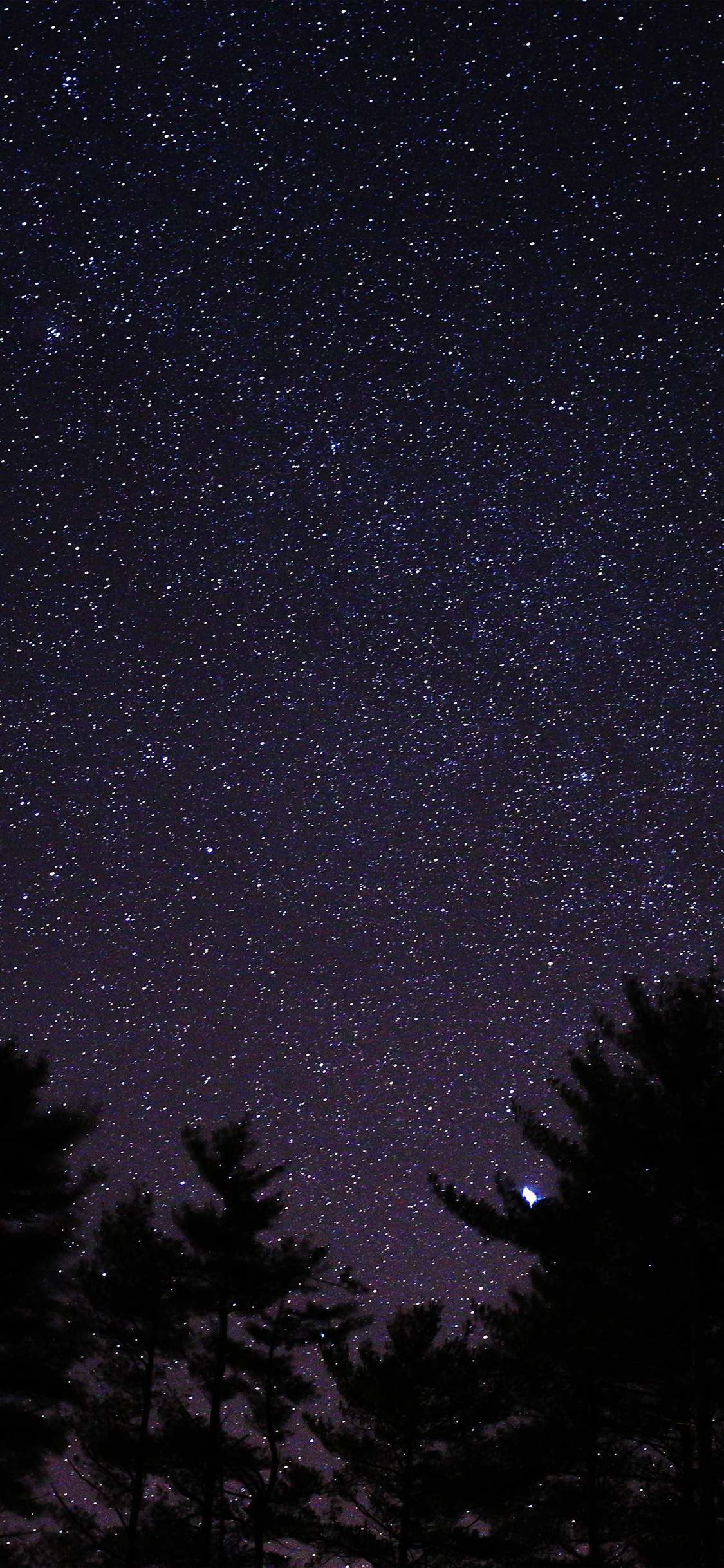 iPhone X wallpaper. night sky star space starry wood dark blue
