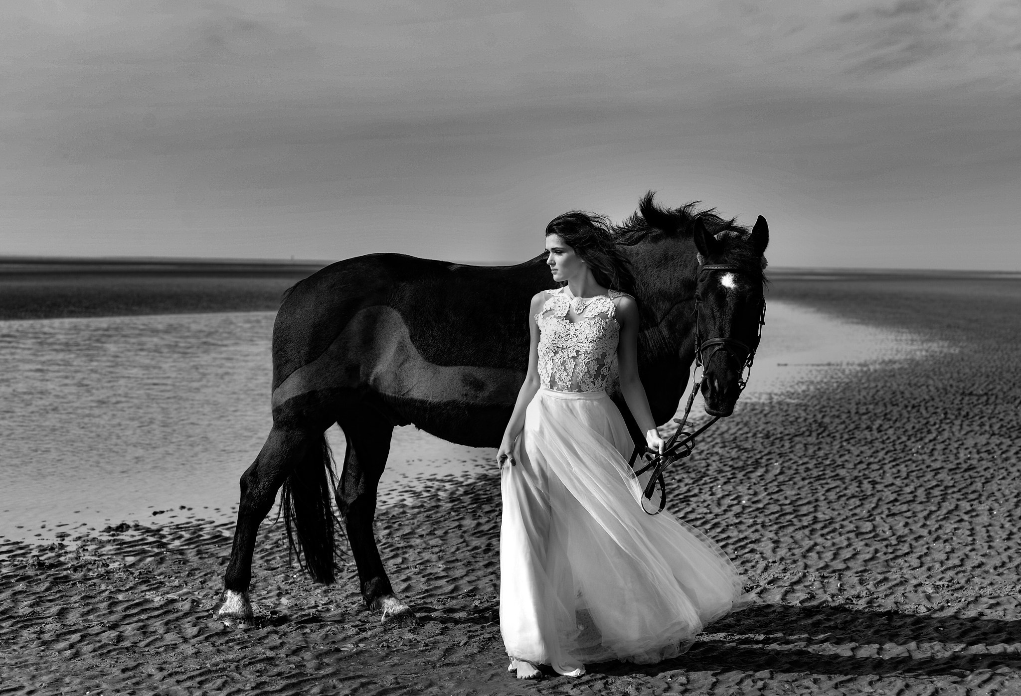 Black Amp White Bride Girl Horse Model Wedding Dress Woman Wallpaper:2048x1397