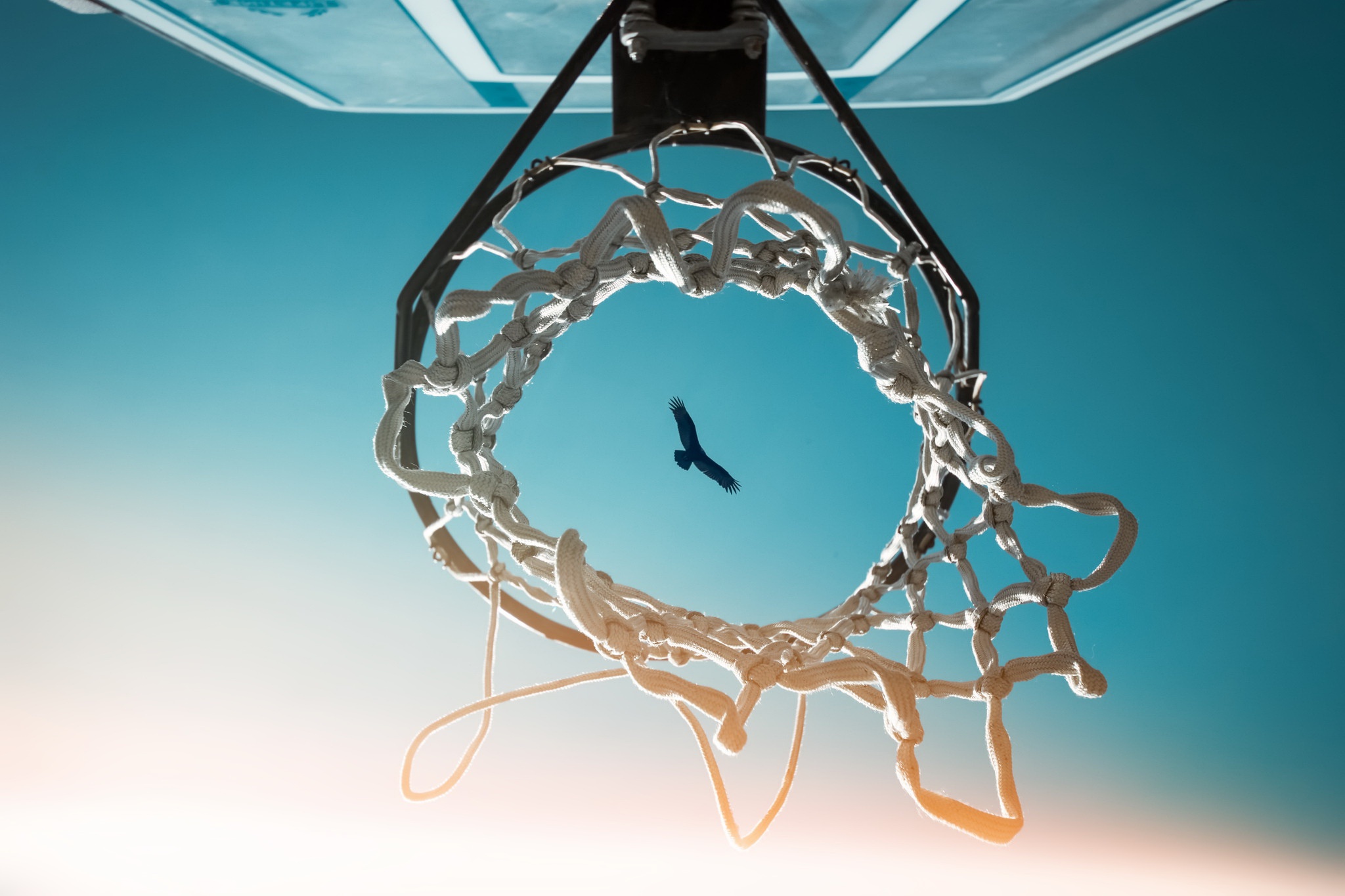 Bird View From Basketball Ring 1366x768 Resolution HD 4k Wallpaper, Image, Background, Photo and Picture