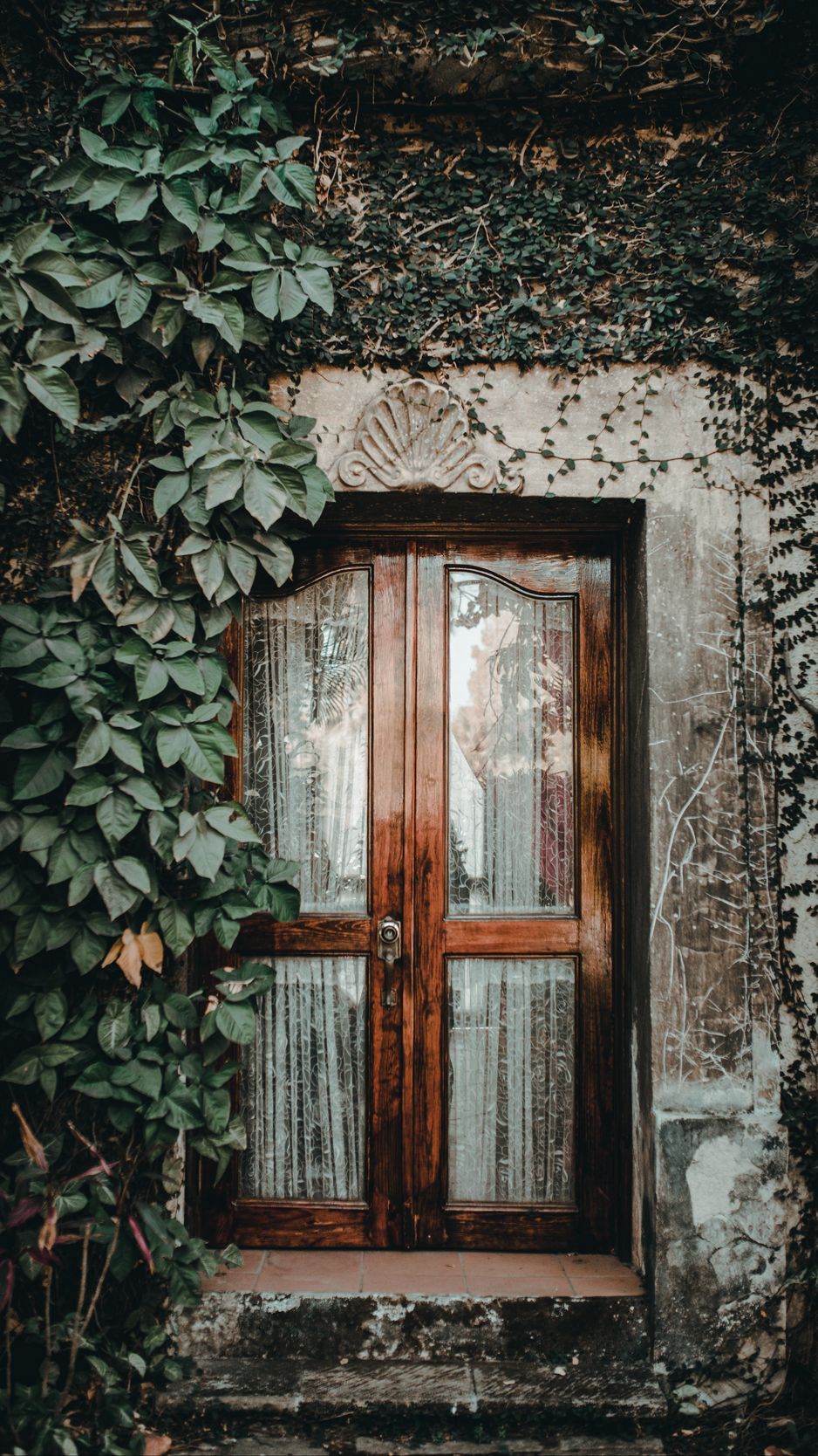 Download Wallpaper 938x1668 Door, Ivy, Plant, Entrance, Wooden, Glass Iphone 8 7 6s 6 For Parallax HD Background