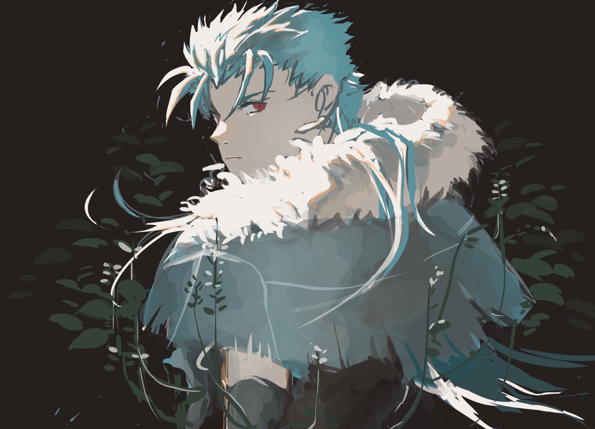 2048x1479 Cu Chulainn wallpaper