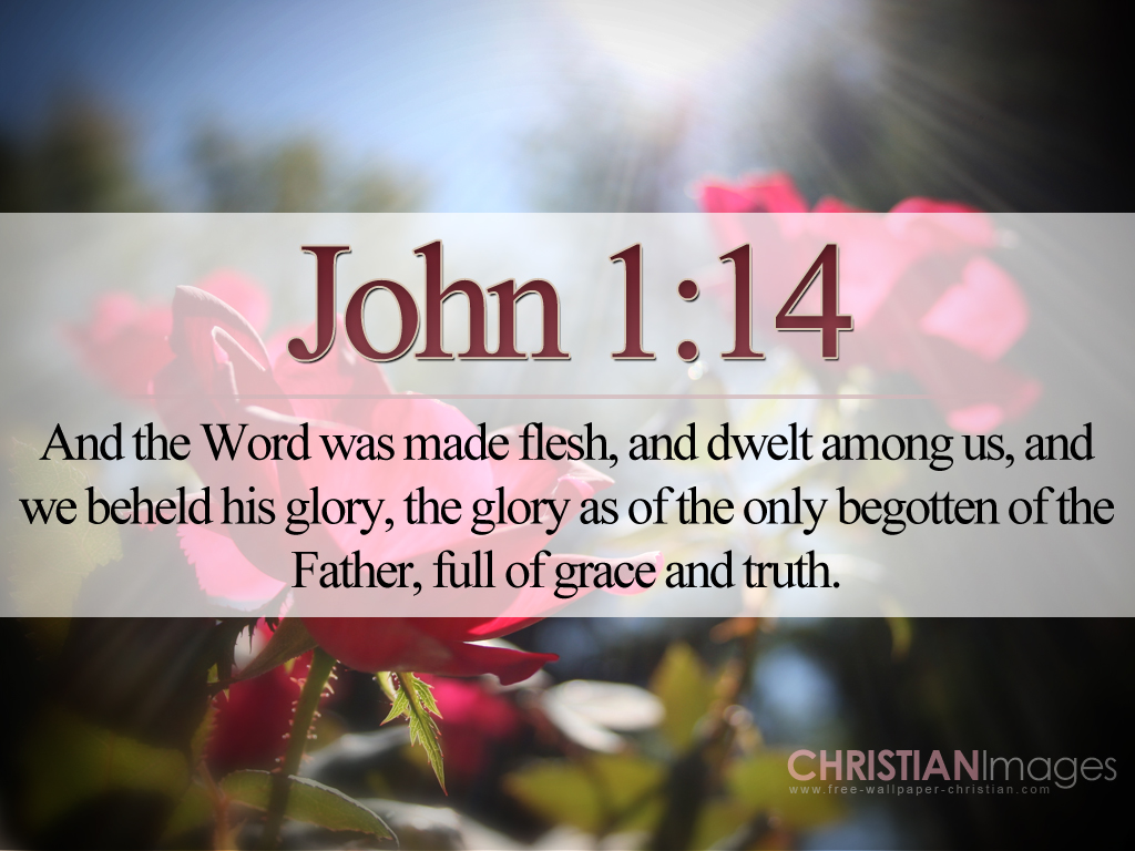 John 1 14