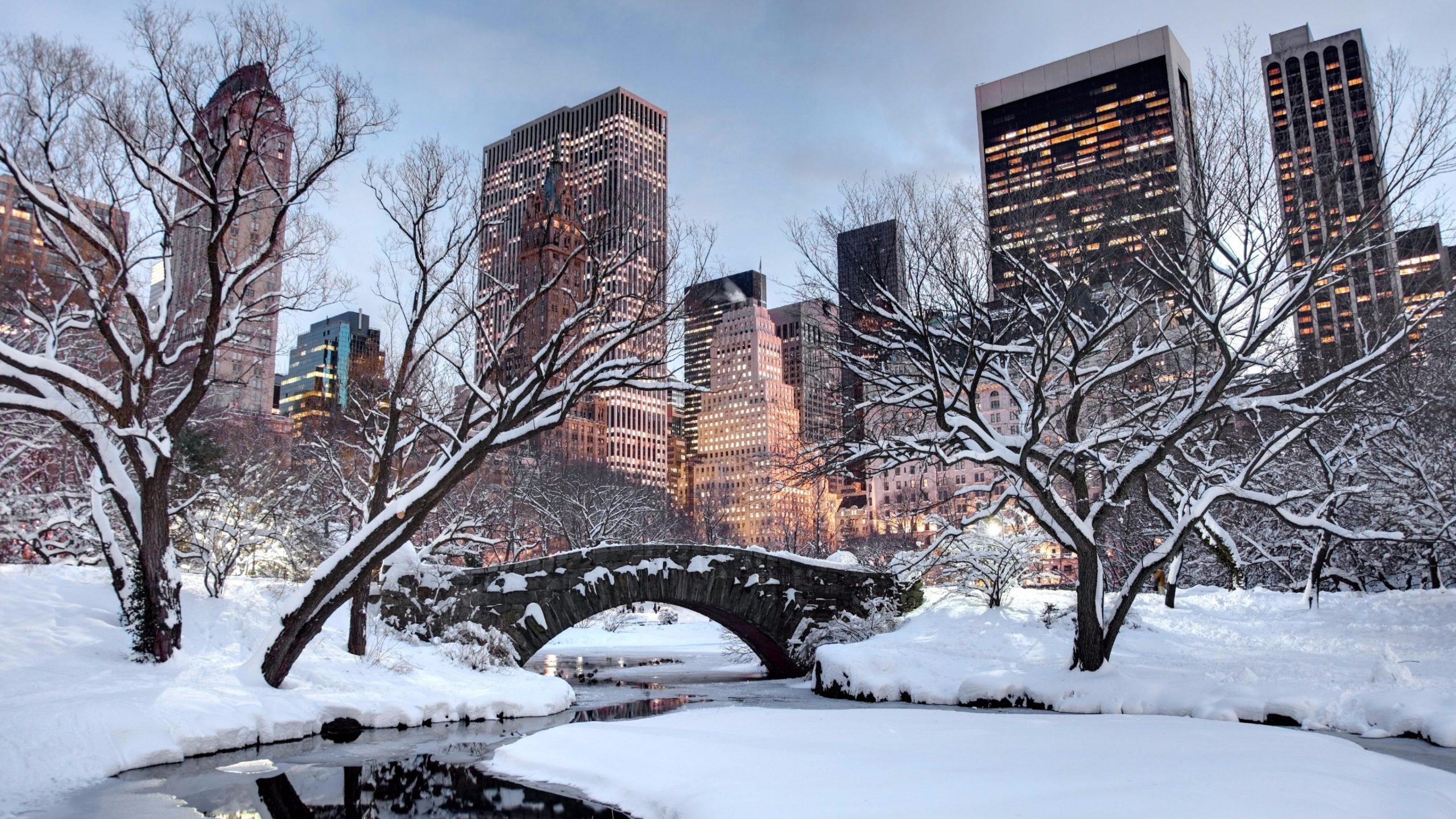 Snow, winter, united states, new york city, tree, sky, building wallpaper • Wallpaper For You HD Wallpaper For Desktop & Mobile