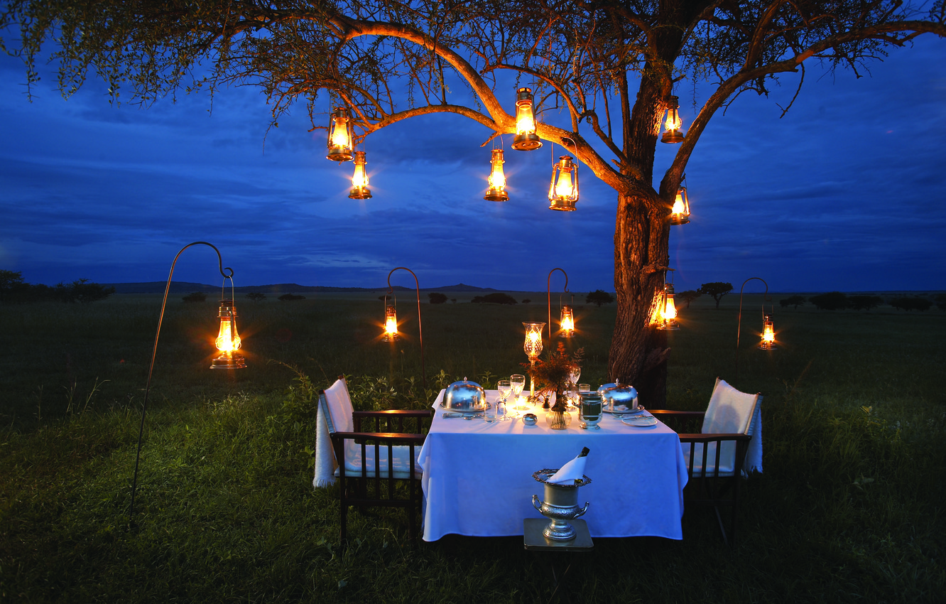 Wallpaper lamp, romance, the evening, Savannah, Africa, champagne, romantic, dinner, bush, dinner image for desktop, section настроения