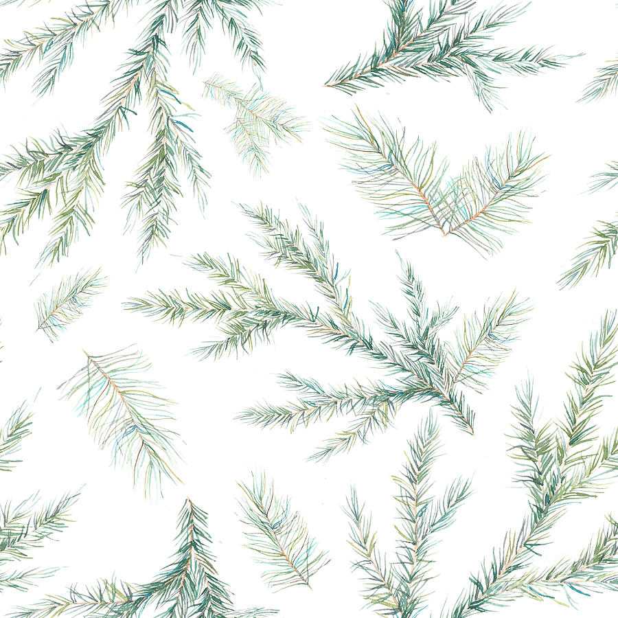 Watercolor Christmas Tree Branches Digital Art by Eisfrei