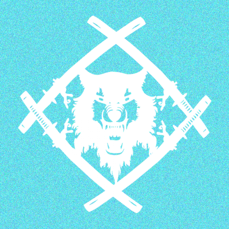 Official HS Car Stickers (15 x 15)