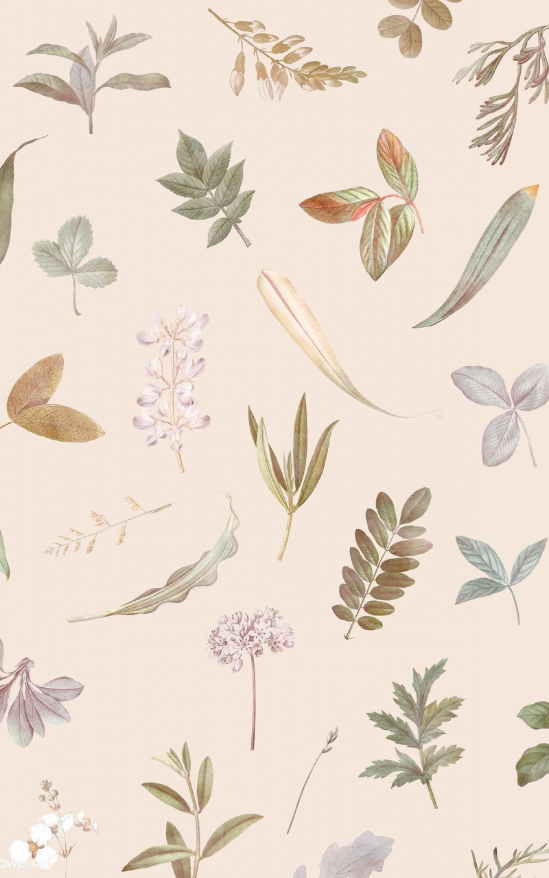 Free download Download premium vector of Foliage pattern on beige background [1200x1800] for your Desktop, Mobile & Tablet. Explore Beige Background. Beige Wallpaper, Beige Striped Wallpaper, Beige Geometric Wallpaper