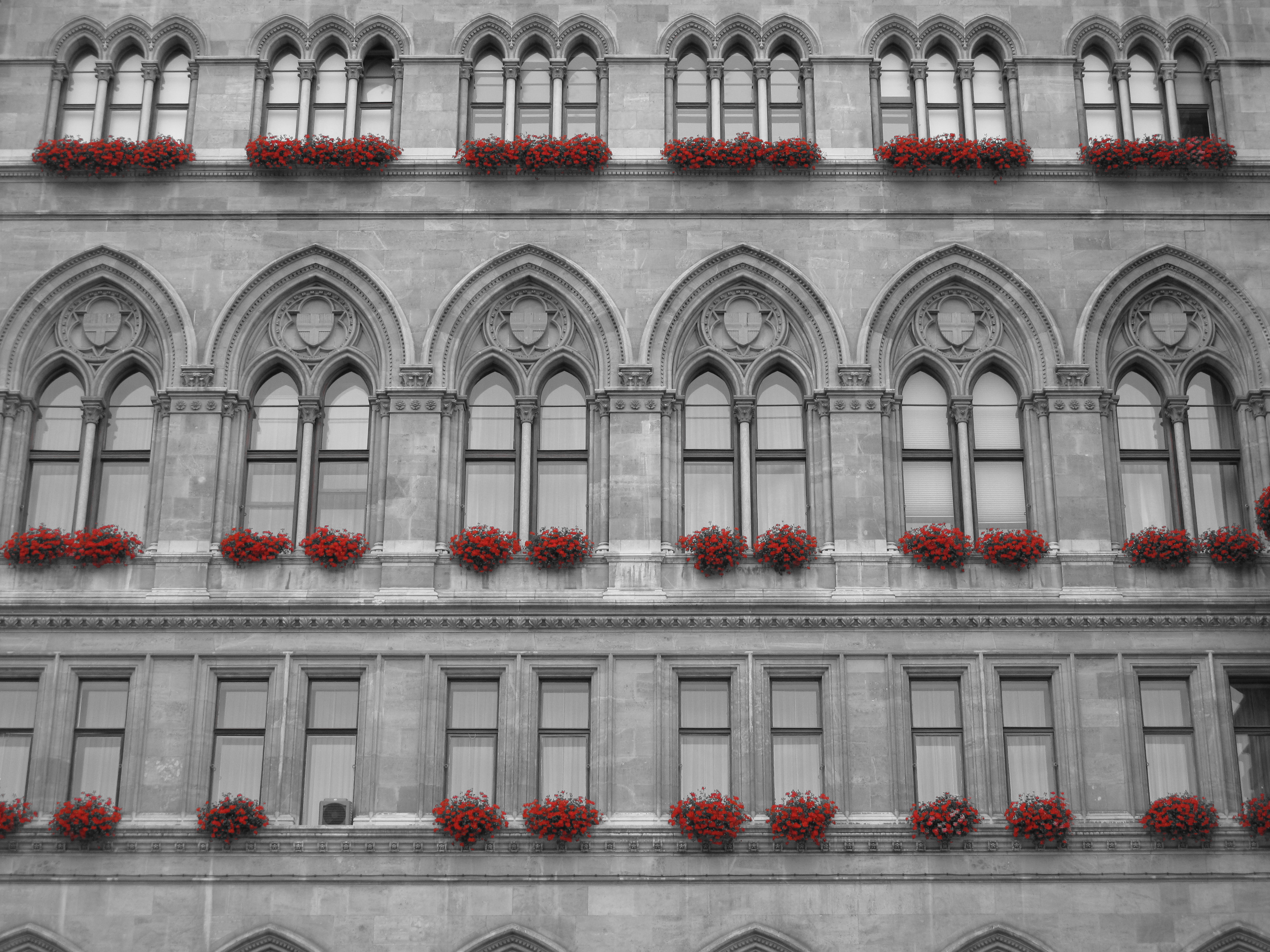 Wallpaper, Vienna, wien, city, flowers