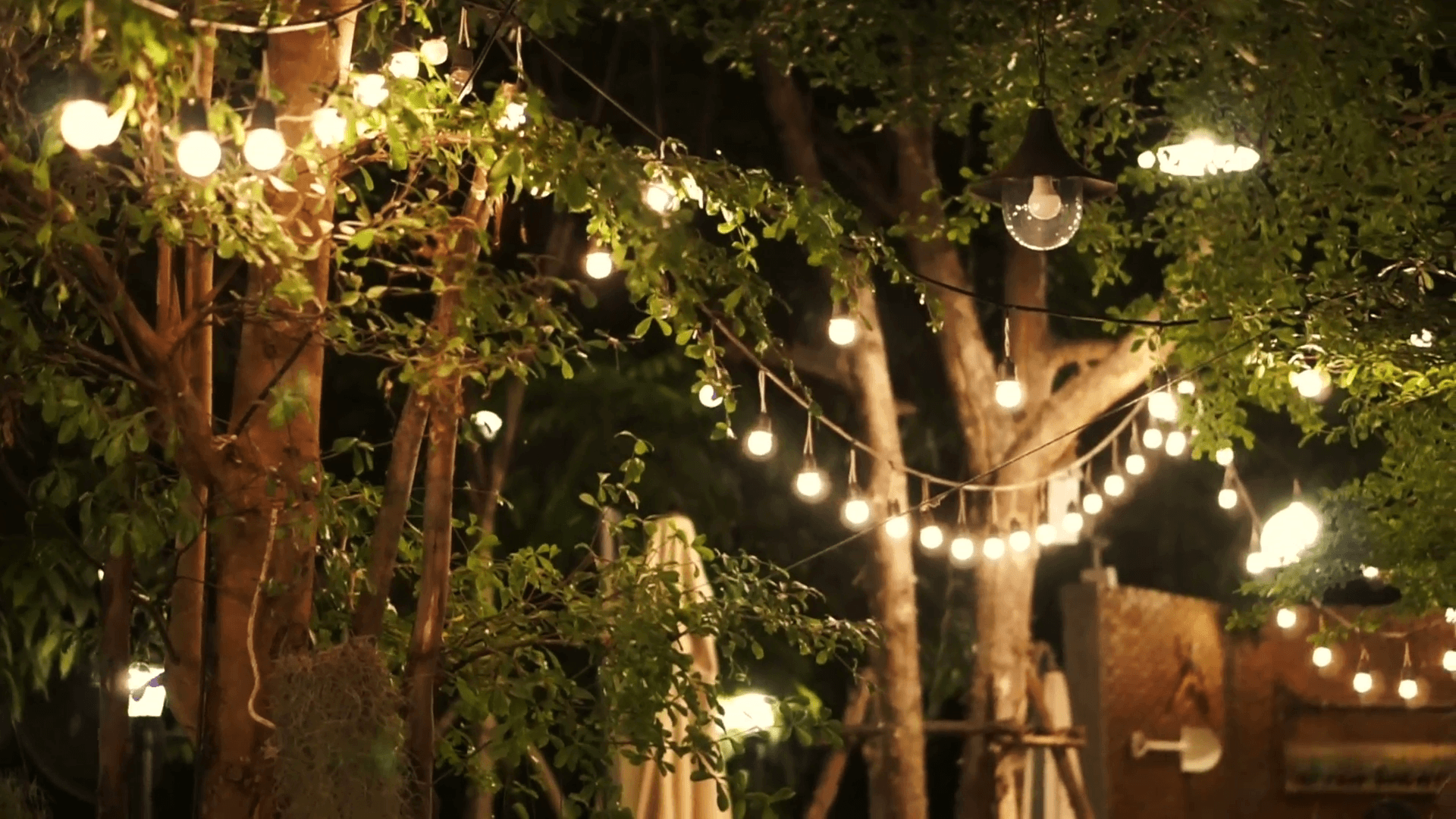 Light Garden Wallpaper, HD Light Garden Background on WallpaperBat