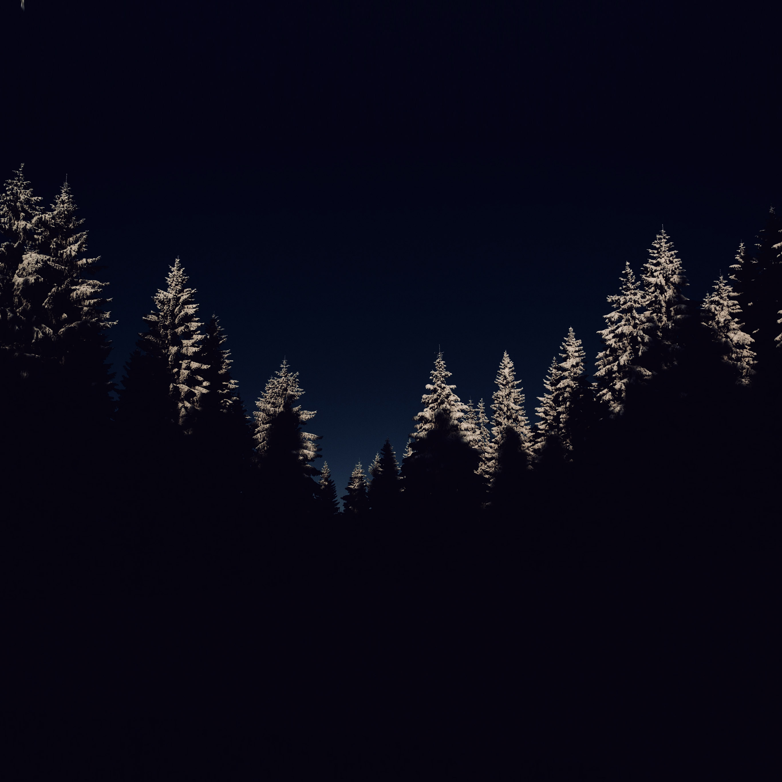 Wood Winter Night Mountain Dark Wallpaper