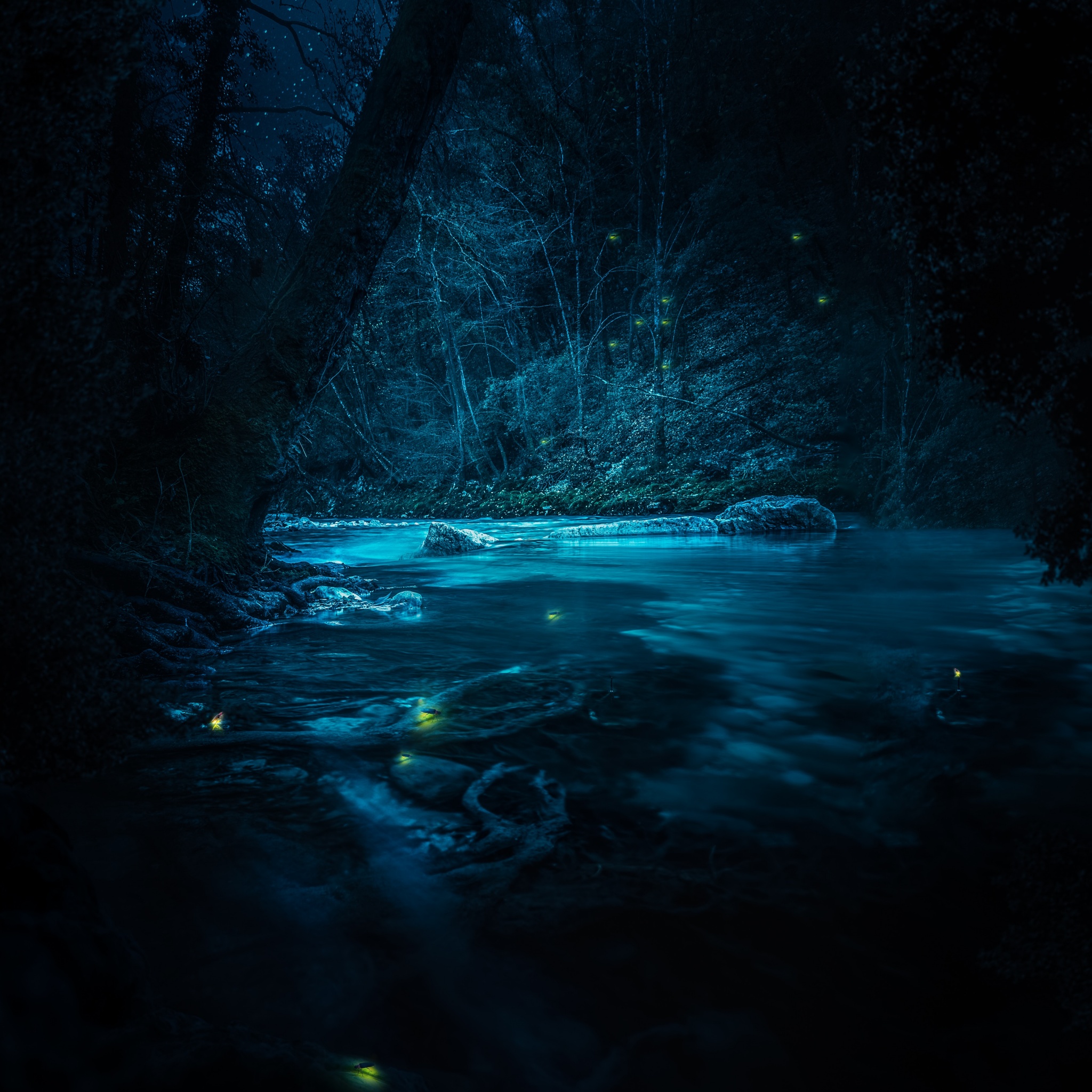 Forest Wallpaper 4K, River, Night, Dark, Magical, Crescent Moon, Blue, Nature