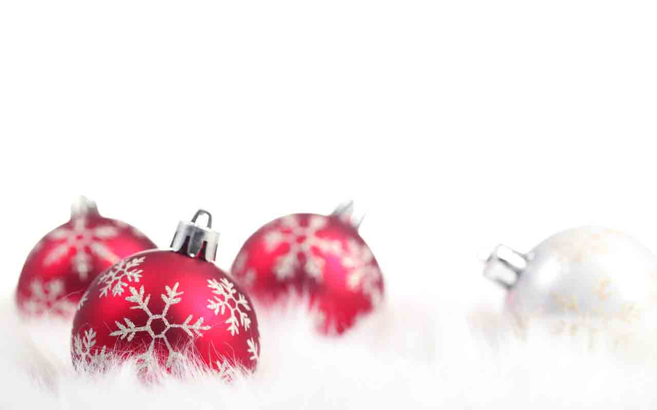 Free download Christmas Backgrounds for Your Florist Website Floranext [1280x800] for your Desktop, Mobile & Tablet