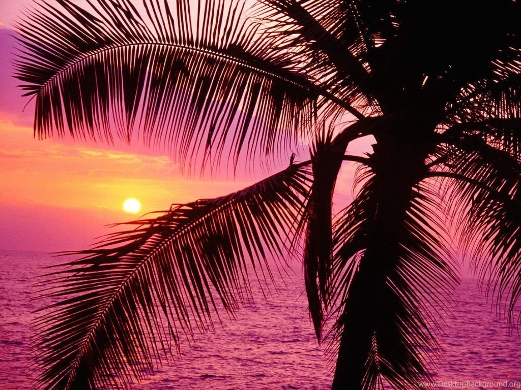 Pinkish Sunset Wallpaper Desktop Background