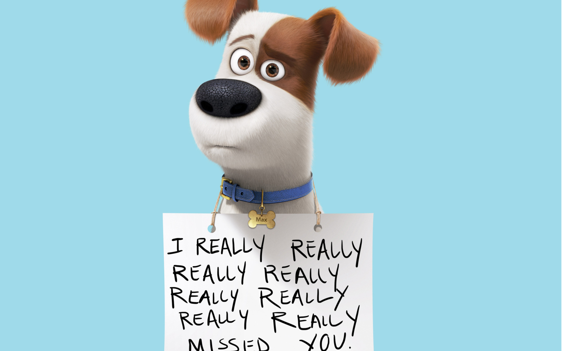 Max from The Secret Life of Pets Wallpaper for Widescreen Desktop PC 1920x1080 Full HD