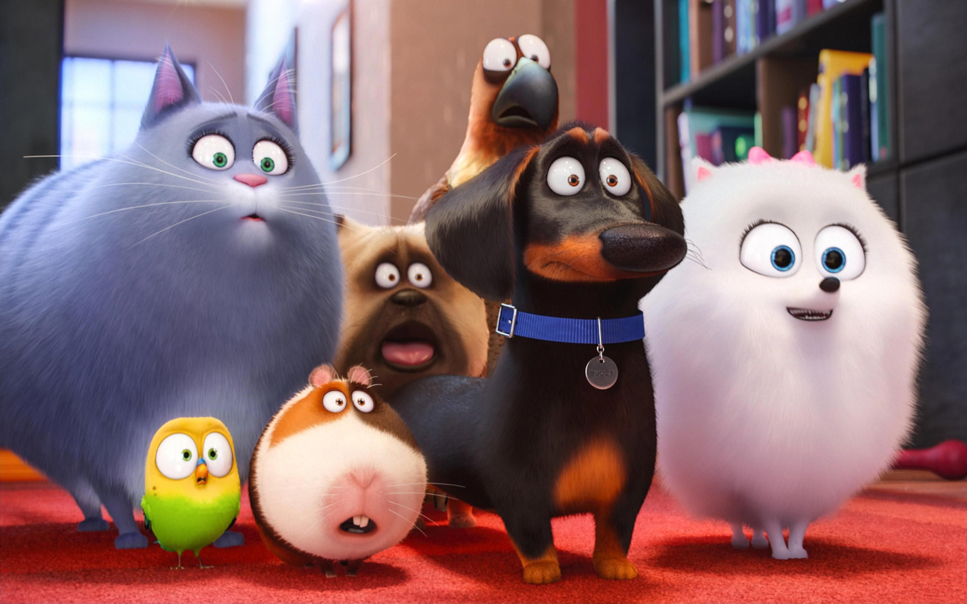 The Secret Life of Pets 2 HD Wallpaperwallpaper.net. Pets movie, Secret life of pets, Animated movies