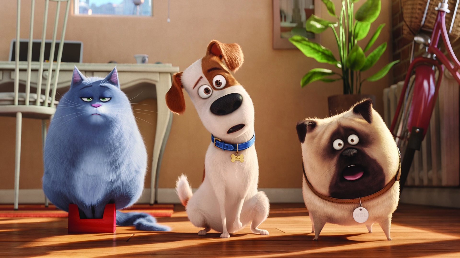 The Secret Life Of Pets HD Wallpaper