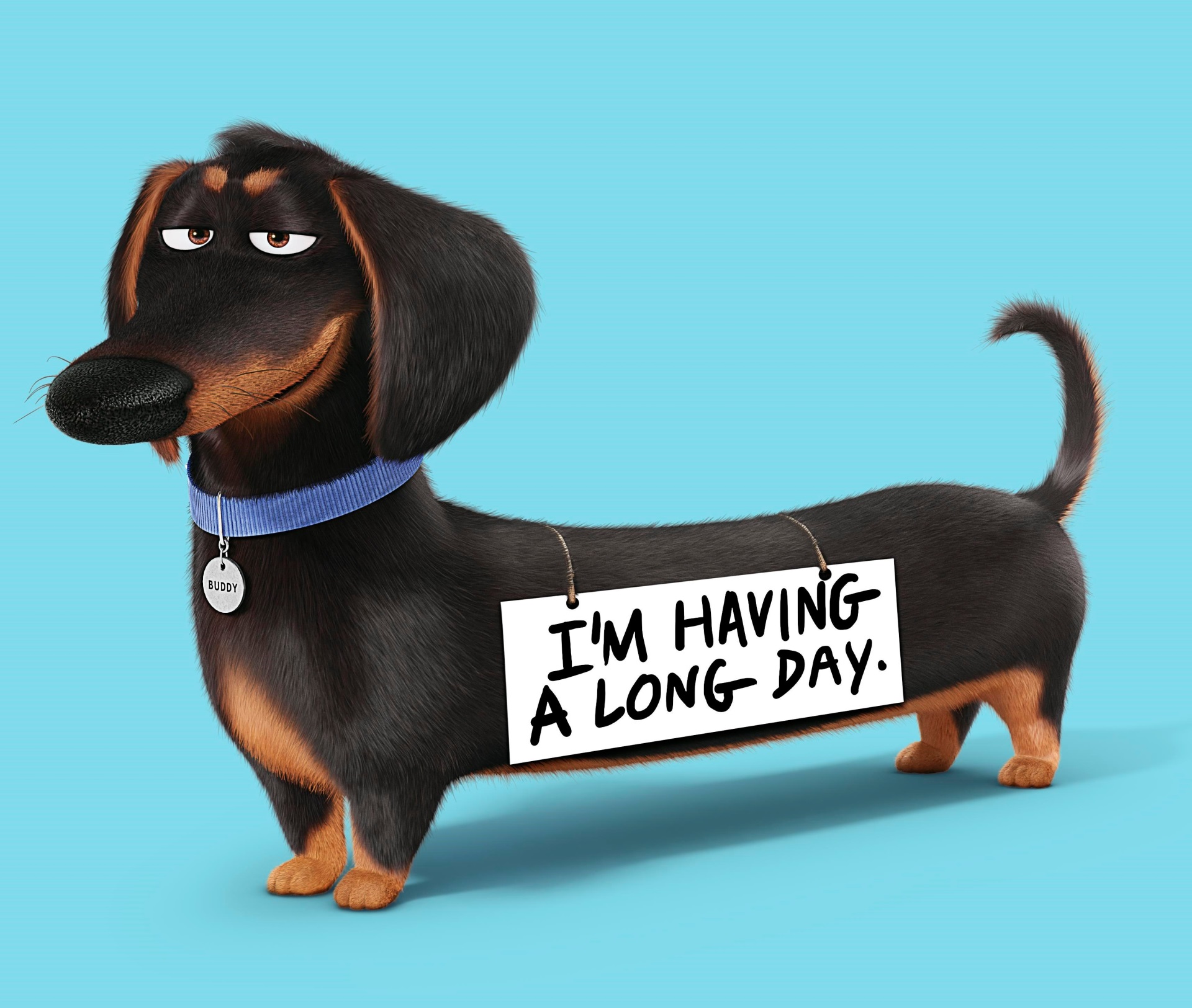 1920x1625 the secret life of pets desktop background HD wallpaper HD Wallpaper