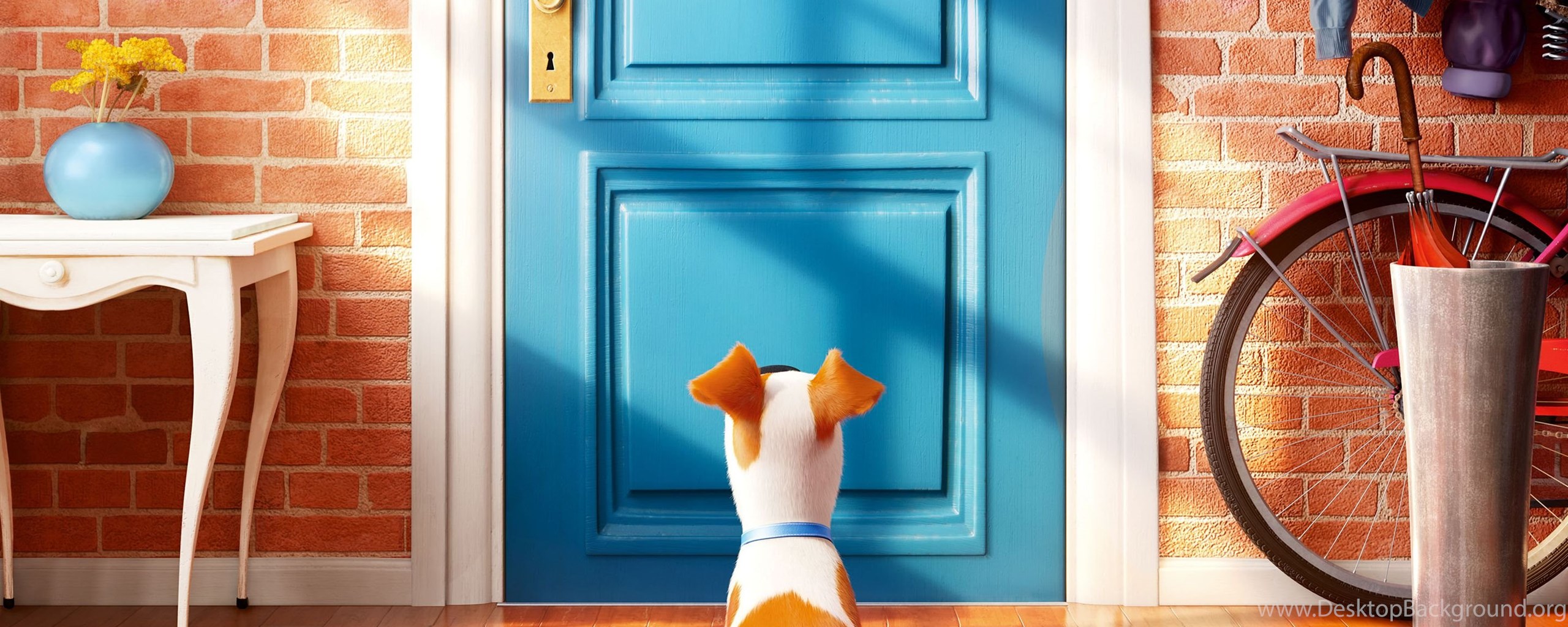 The Secret Life Of Pets HD Wallpaper Desktop Background