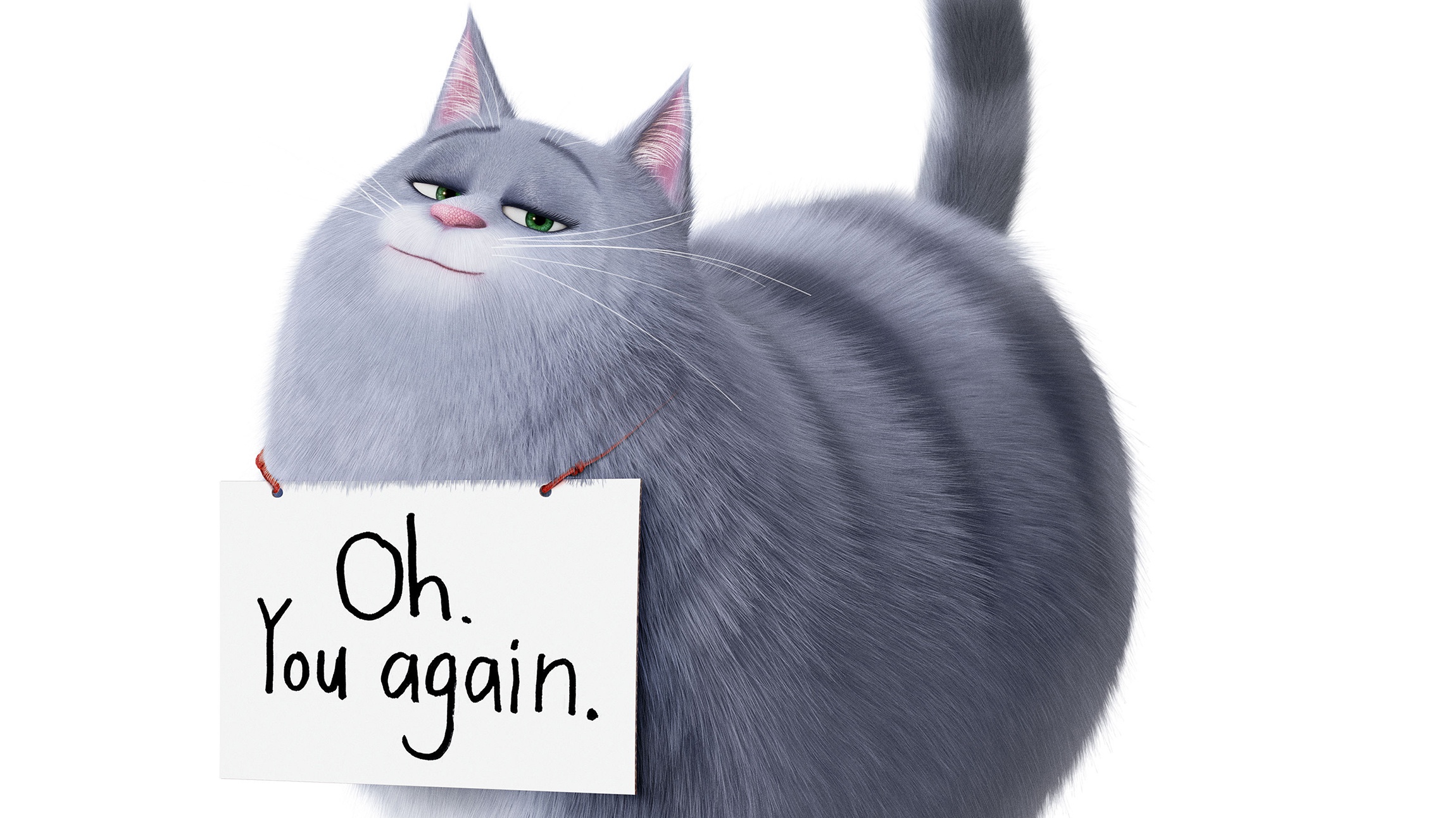 The Secret Life of Pets 2, Chloe (The Secret Life of Pets) wallpaper HD Wallpaper