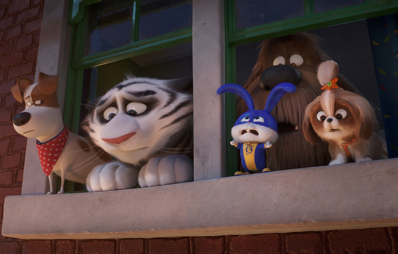 Wallpaper animals, The secret life of Pets 2, The Secret Life of Pets - for desktop, section фильмы
