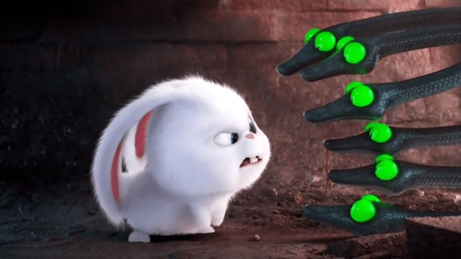 The Secret Life Of Pets Wallpaper HD