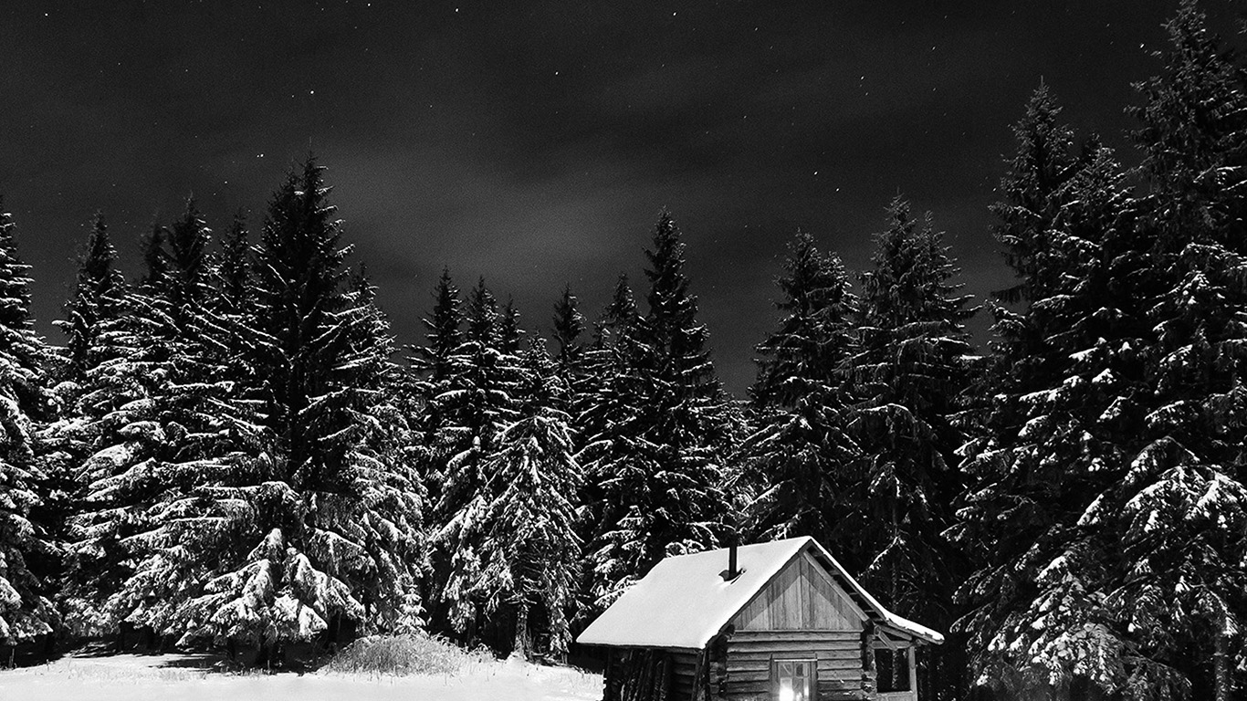 wallpaper for desktop, laptop. winter house night sky christmas starry bw dark