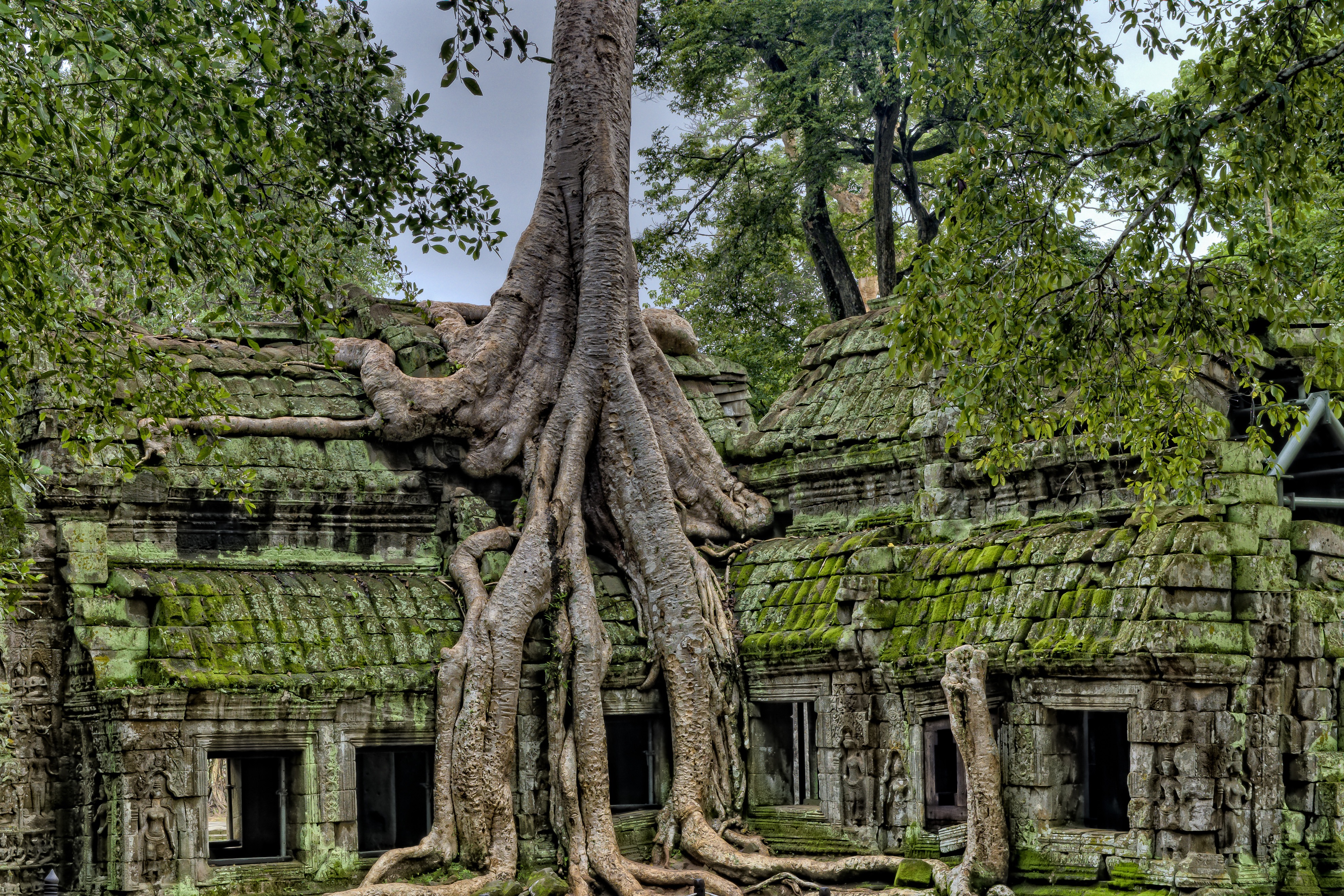 Old House