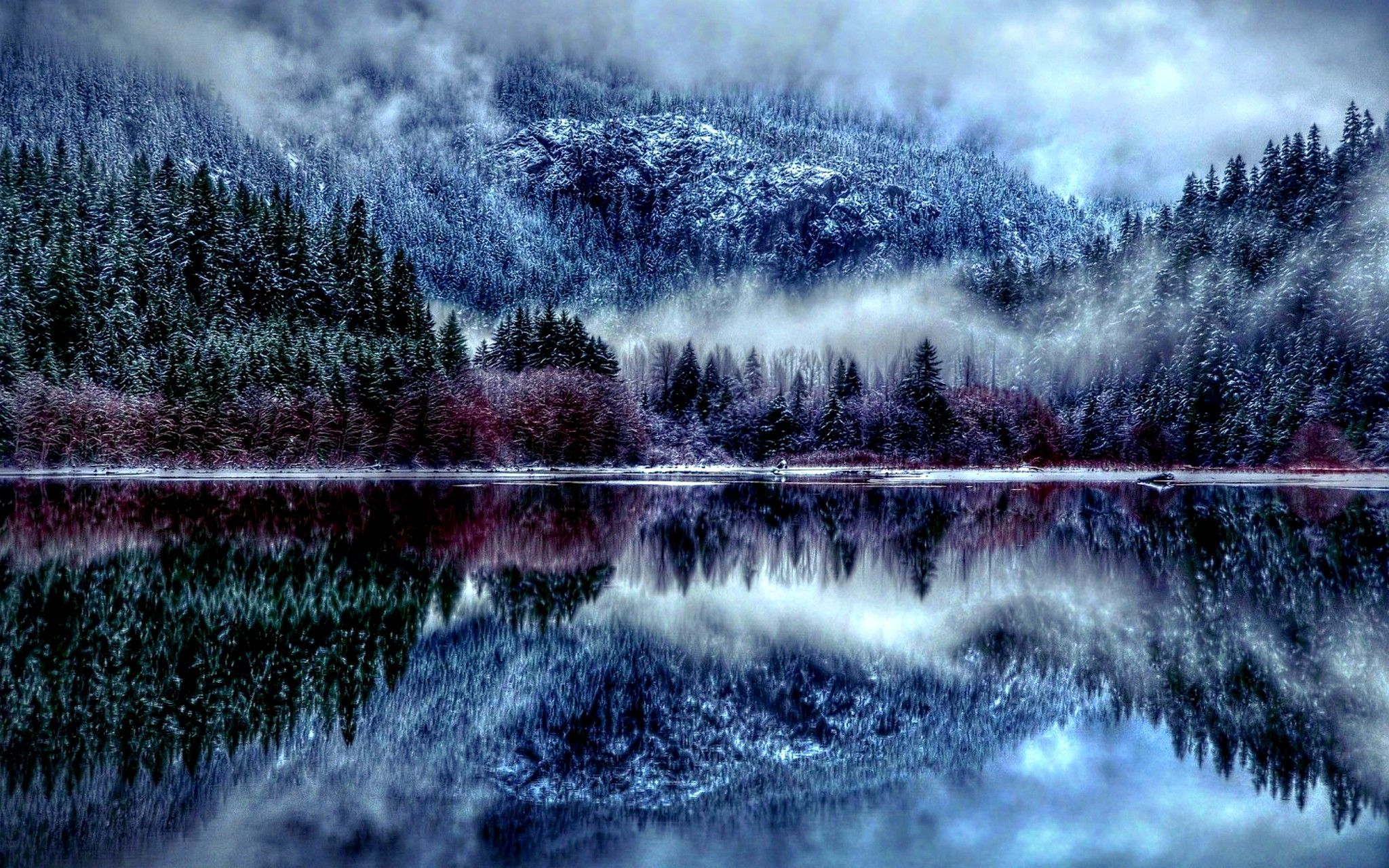 Winter Mountain Forest HD Wallpaper Free Winter Mountain Forest HD Background