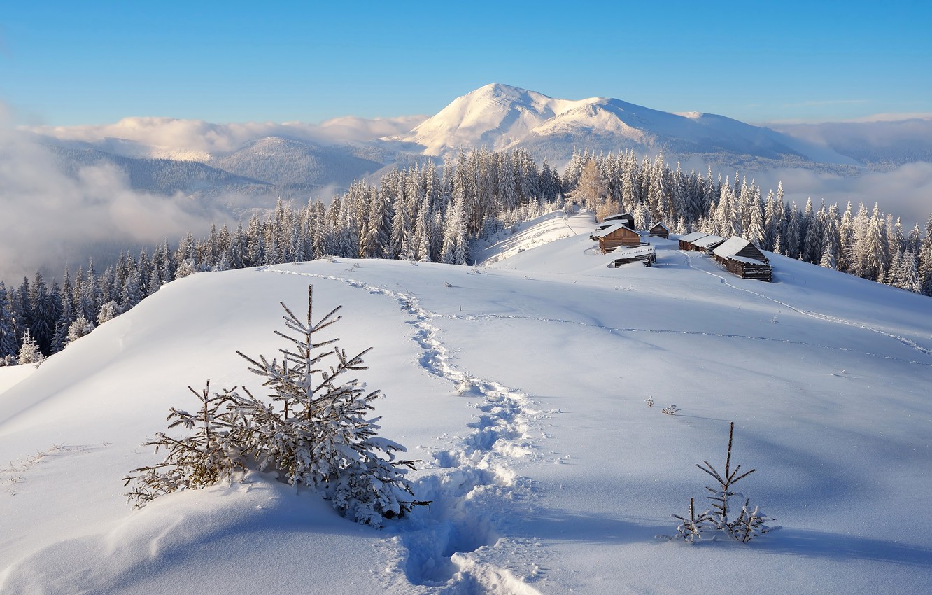 Wallpaper Nature, Home, Winter, Mountains, Snow, Forest, Landscape image for desktop, section природа