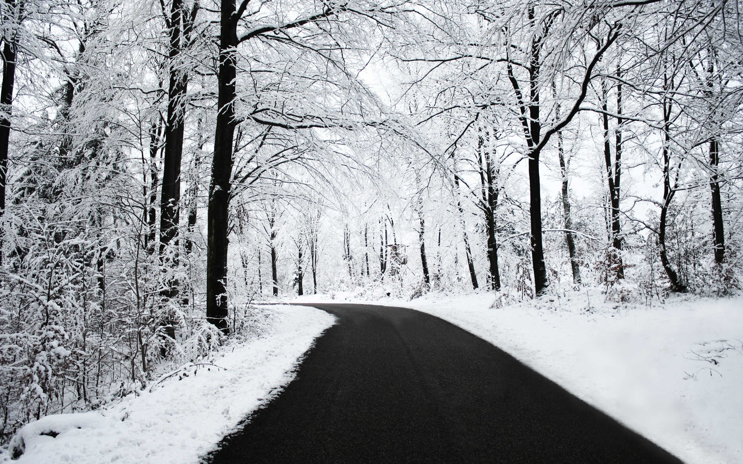 Road, Snow, Black, White, Winter, Forest, Nature Wallpaper Forest Wallpaper HD